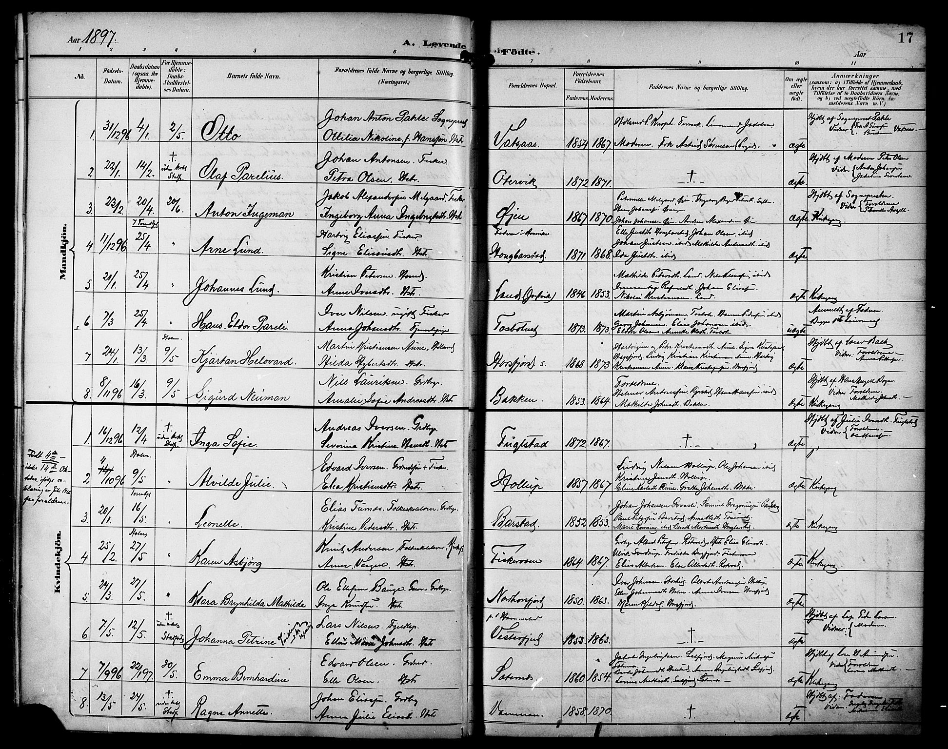 Ministerialprotokoller, klokkerbøker og fødselsregistre - Nordland, AV/SAT-A-1459/810/L0152: Parish register (official) no. 810A11, 1895-1899, p. 17
