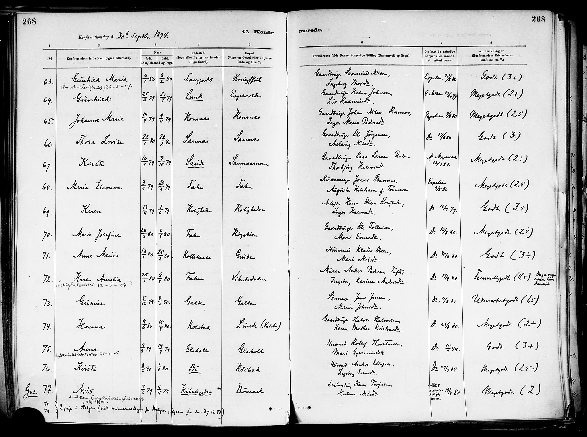 Holla kirkebøker, SAKO/A-272/F/Fa/L0008: Parish register (official) no. 8, 1882-1897, p. 268