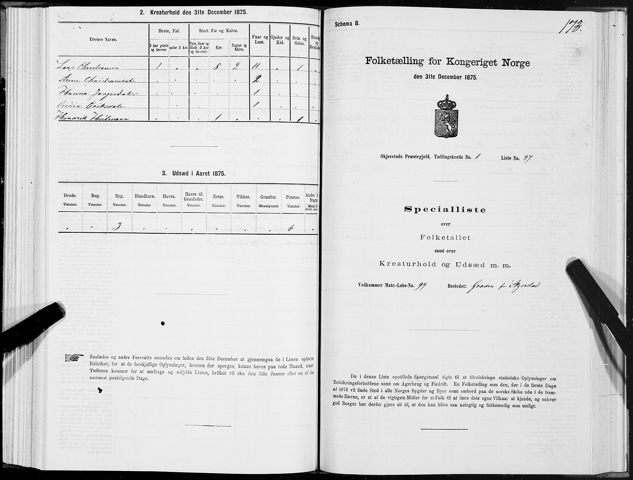 SAT, 1875 census for 1842P Skjerstad, 1875, p. 1173