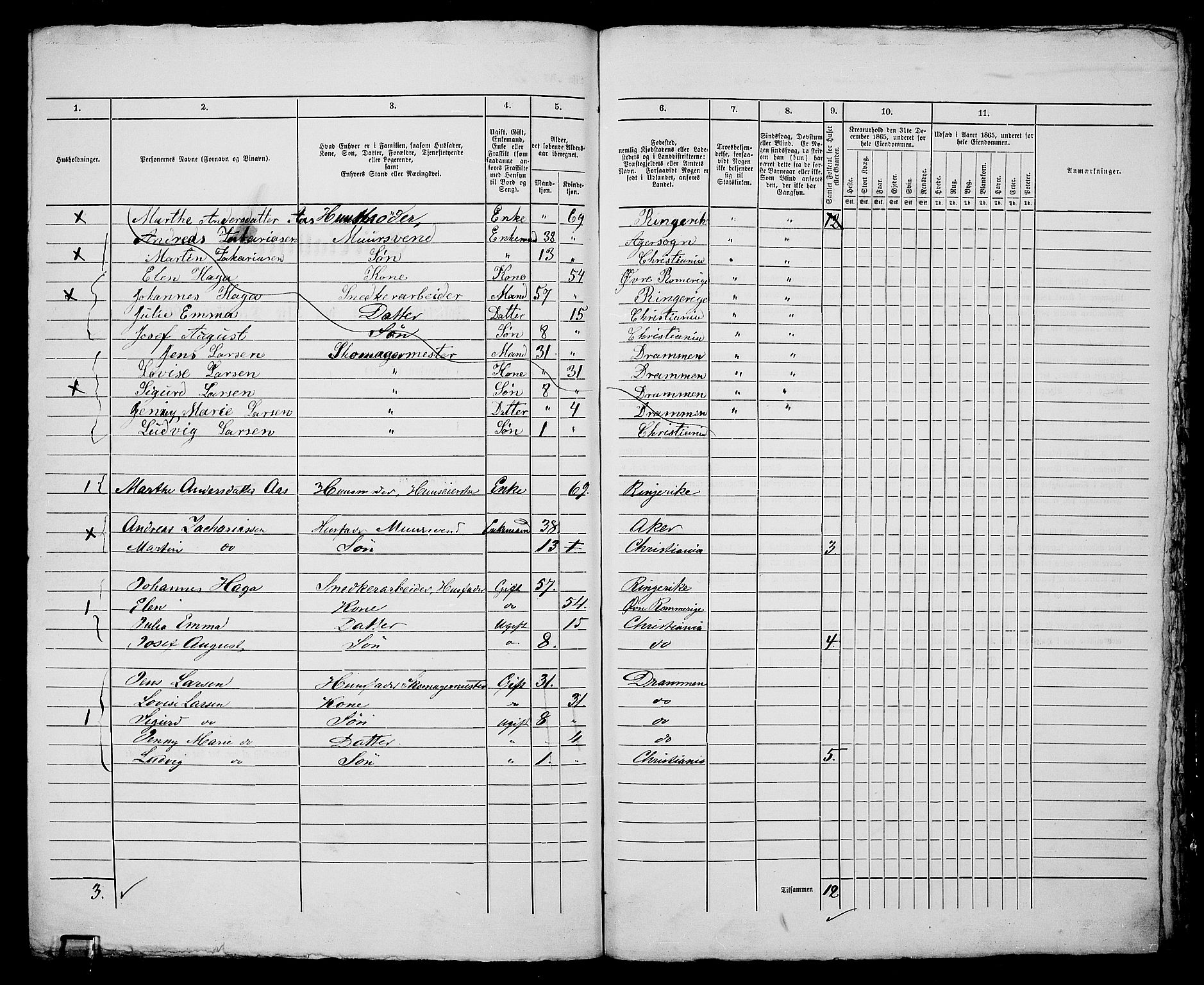 RA, 1865 census for Kristiania, 1865, p. 3124