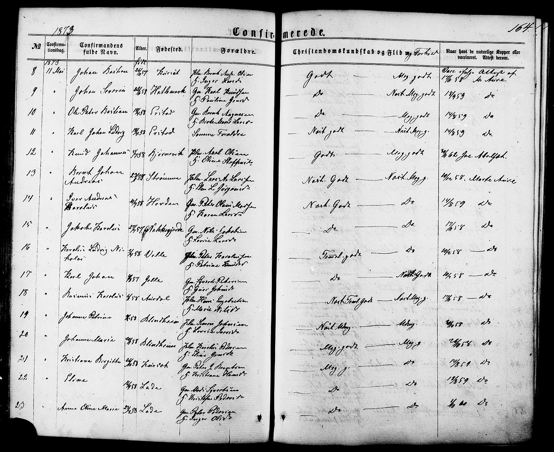 Ministerialprotokoller, klokkerbøker og fødselsregistre - Møre og Romsdal, AV/SAT-A-1454/522/L0314: Parish register (official) no. 522A09, 1863-1877, p. 164