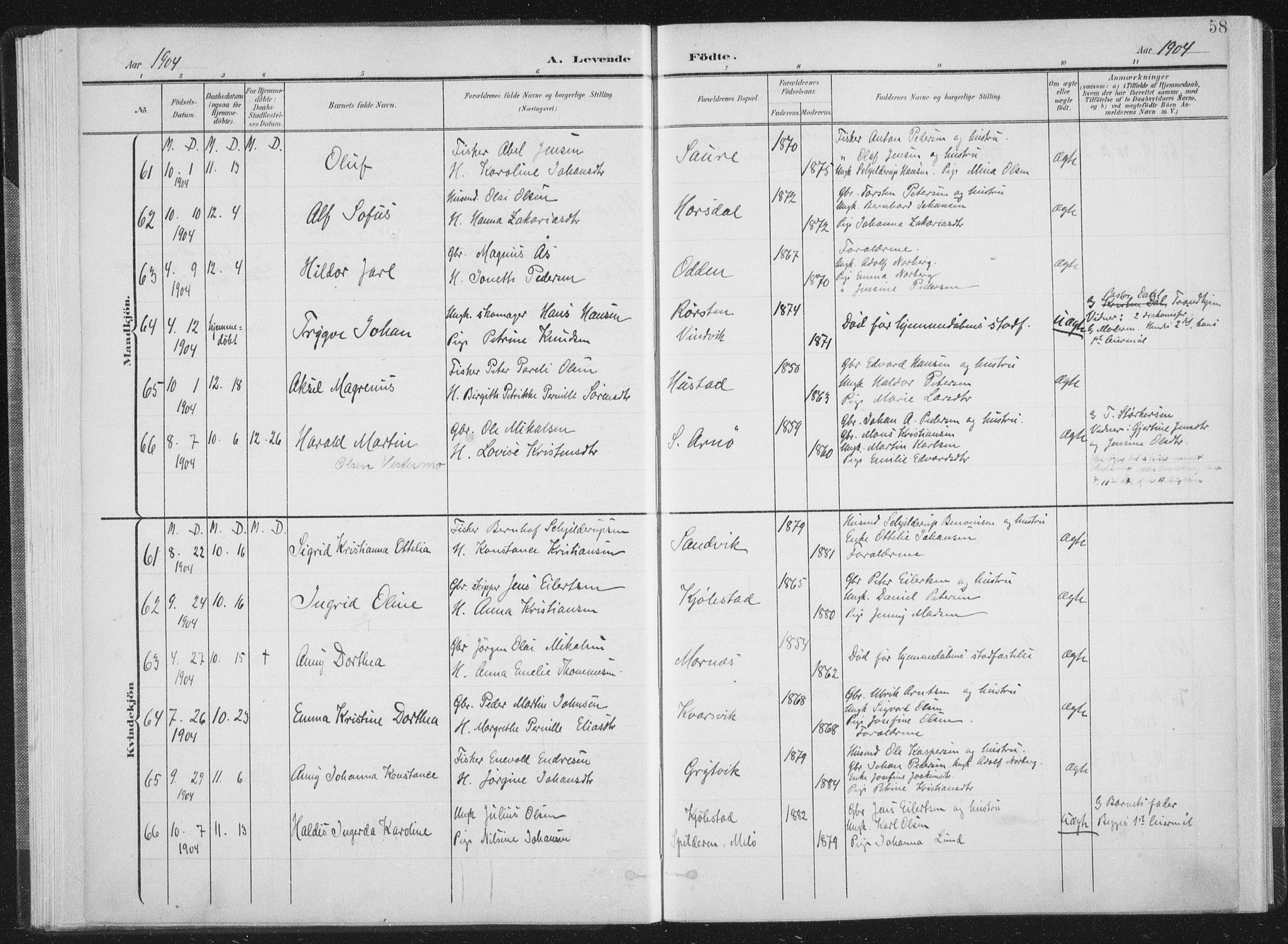 Ministerialprotokoller, klokkerbøker og fødselsregistre - Nordland, AV/SAT-A-1459/805/L0102: Parish register (official) no. 805A08I, 1900-1909, p. 58