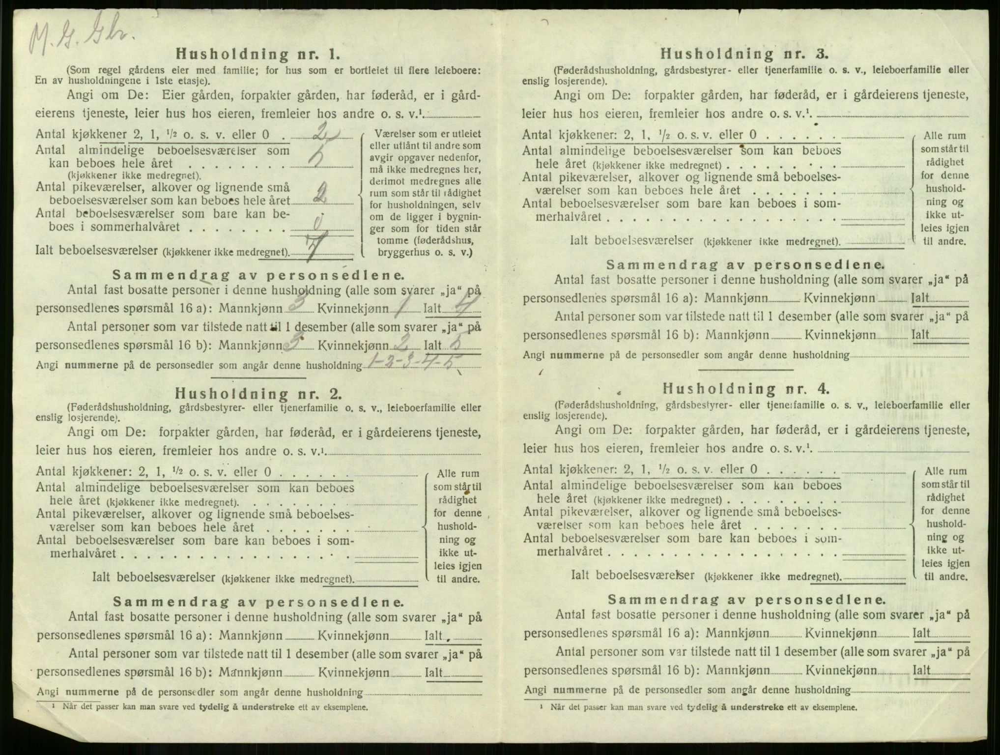 SAKO, 1920 census for Borre, 1920, p. 990