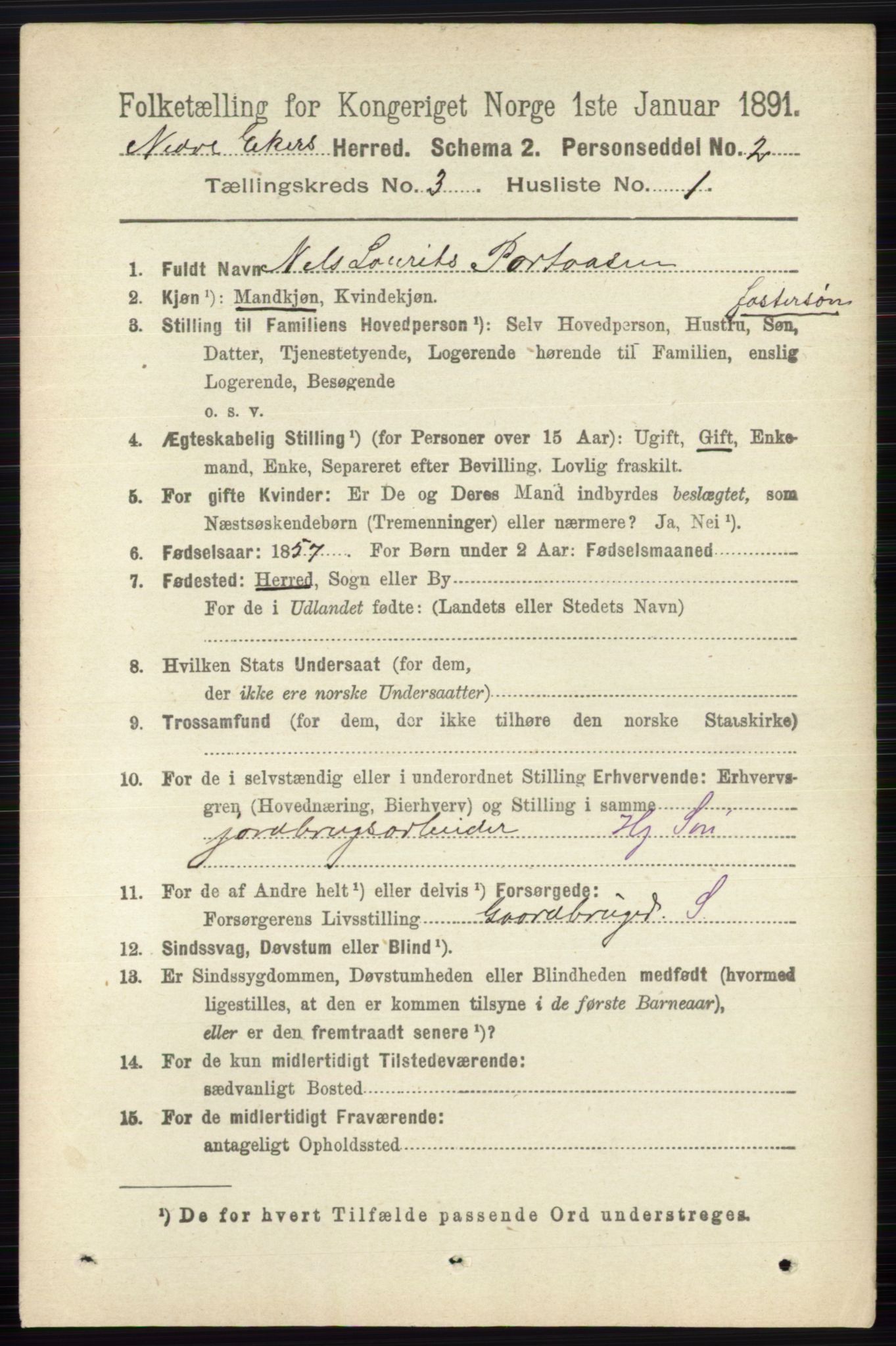 RA, 1891 census for 0625 Nedre Eiker, 1891, p. 1193