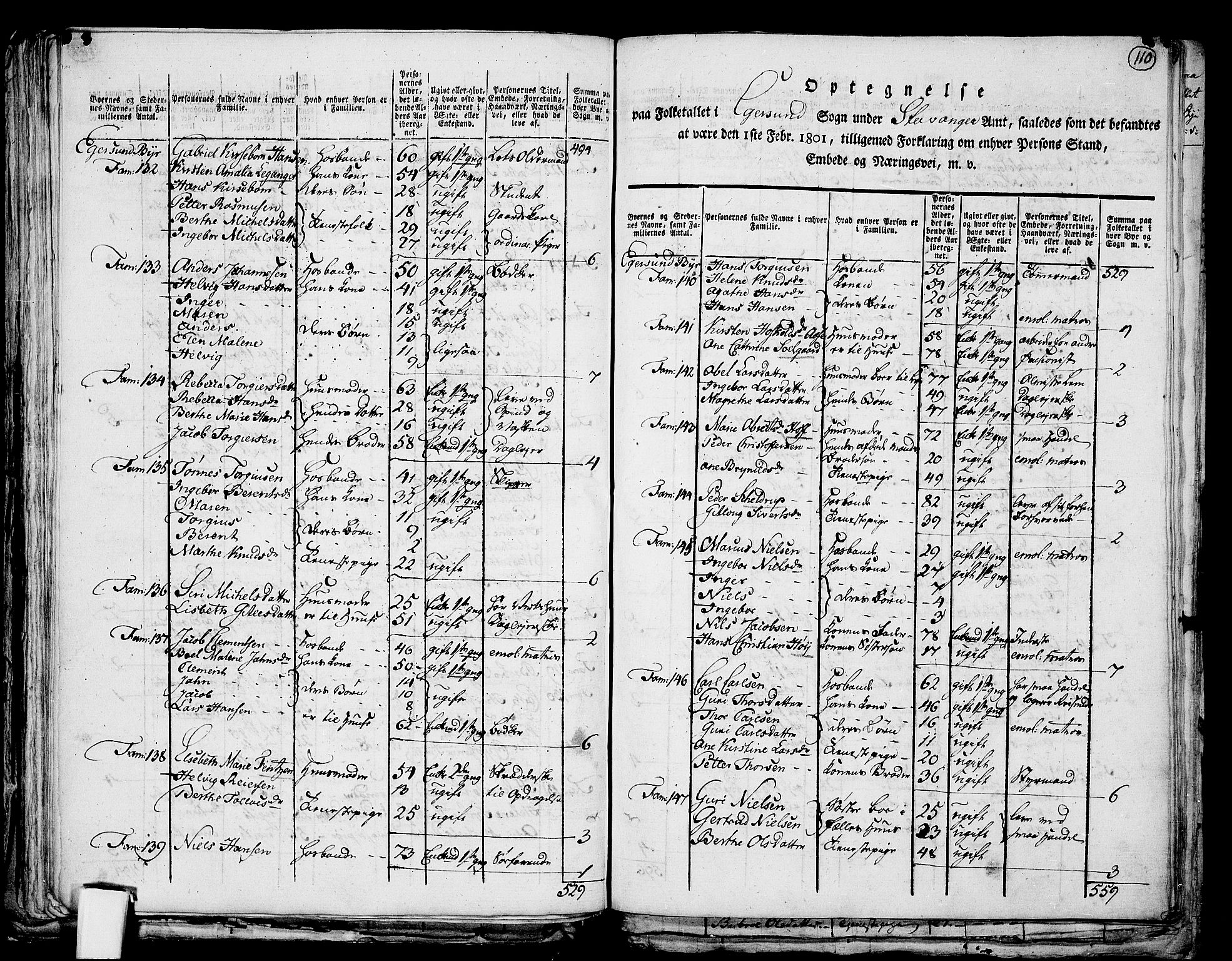 RA, 1801 census for 1116P Eigersund, 1801, p. 109b-110a