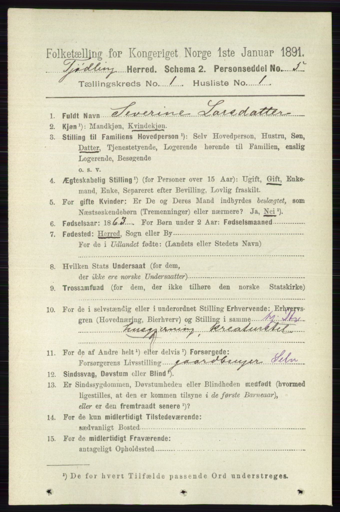 RA, 1891 census for 0725 Tjølling, 1891, p. 91