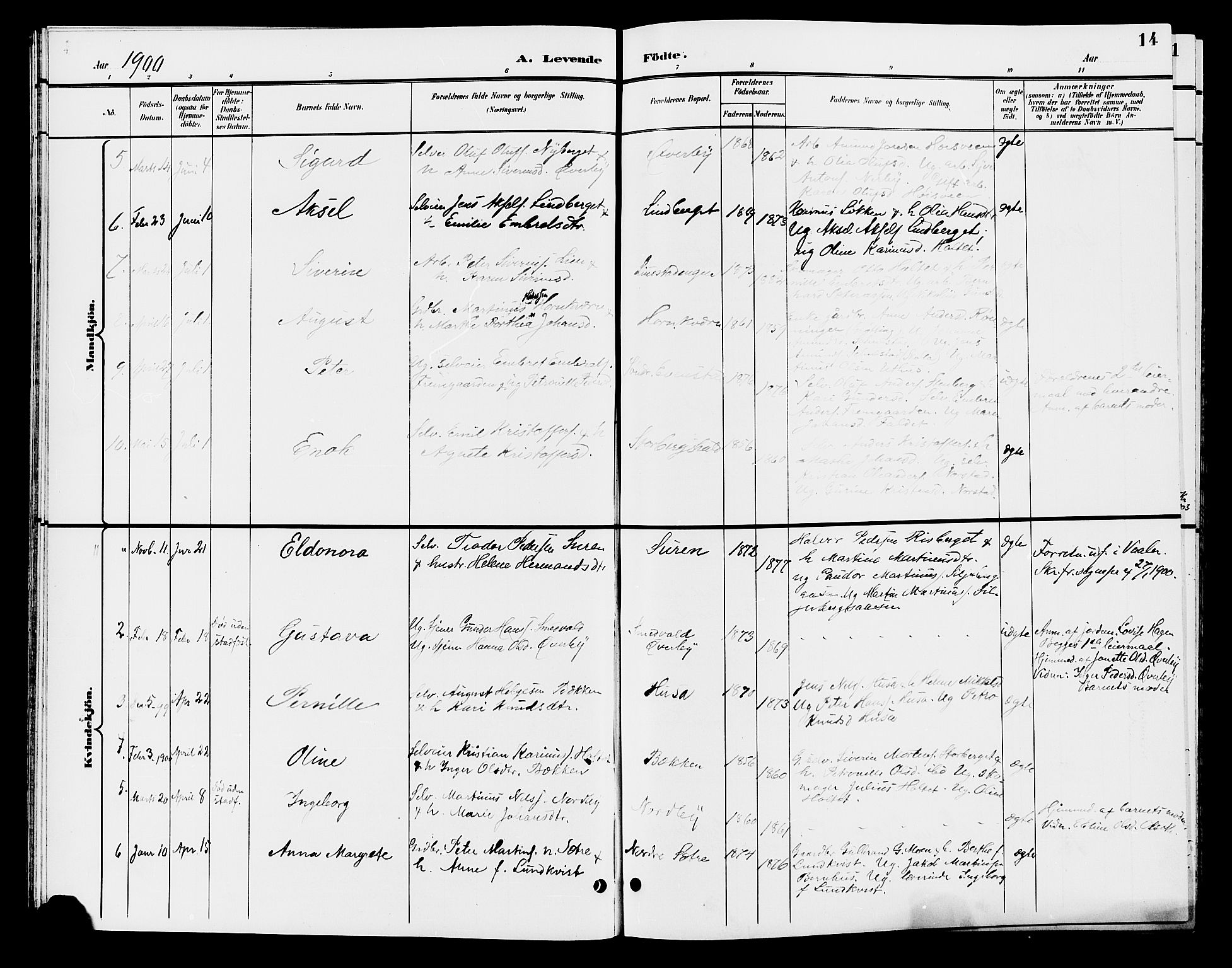 Elverum prestekontor, AV/SAH-PREST-044/H/Ha/Hab/L0006: Parish register (copy) no. 6, 1896-1907, p. 14