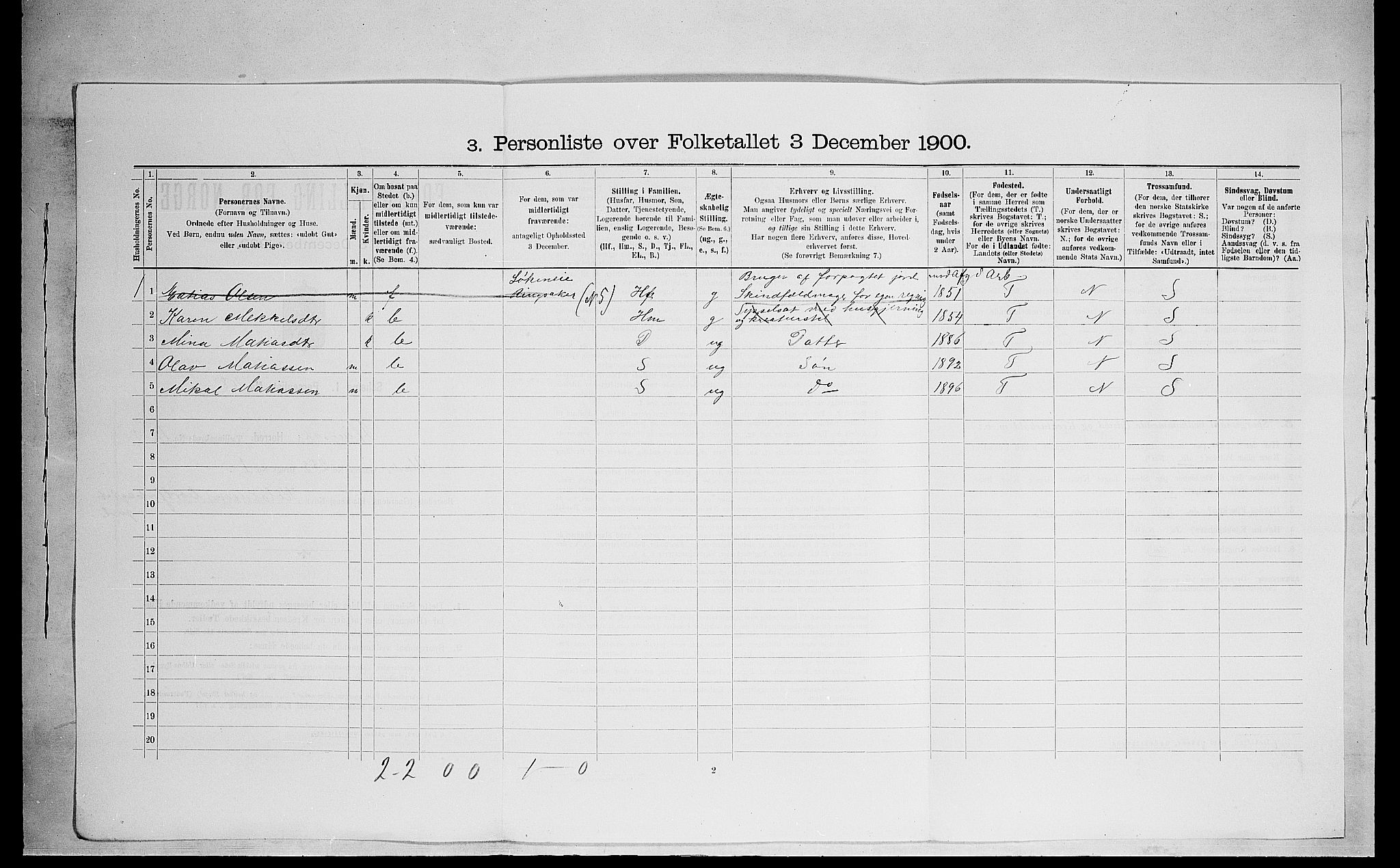 SAH, 1900 census for Ringsaker, 1900, p. 2397