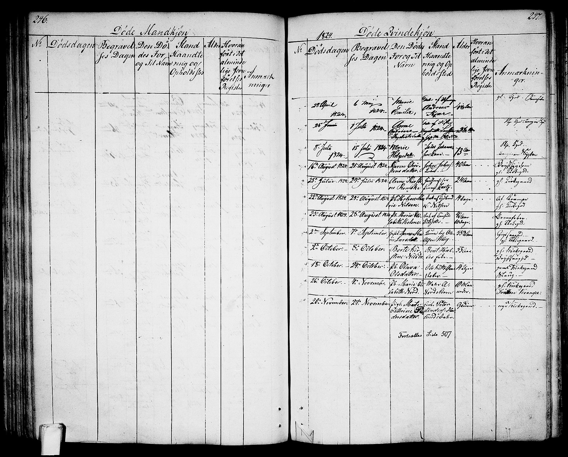 Larvik kirkebøker, AV/SAKO-A-352/G/Ga/L0002: Parish register (copy) no. I 2, 1807-1830, p. 246-247