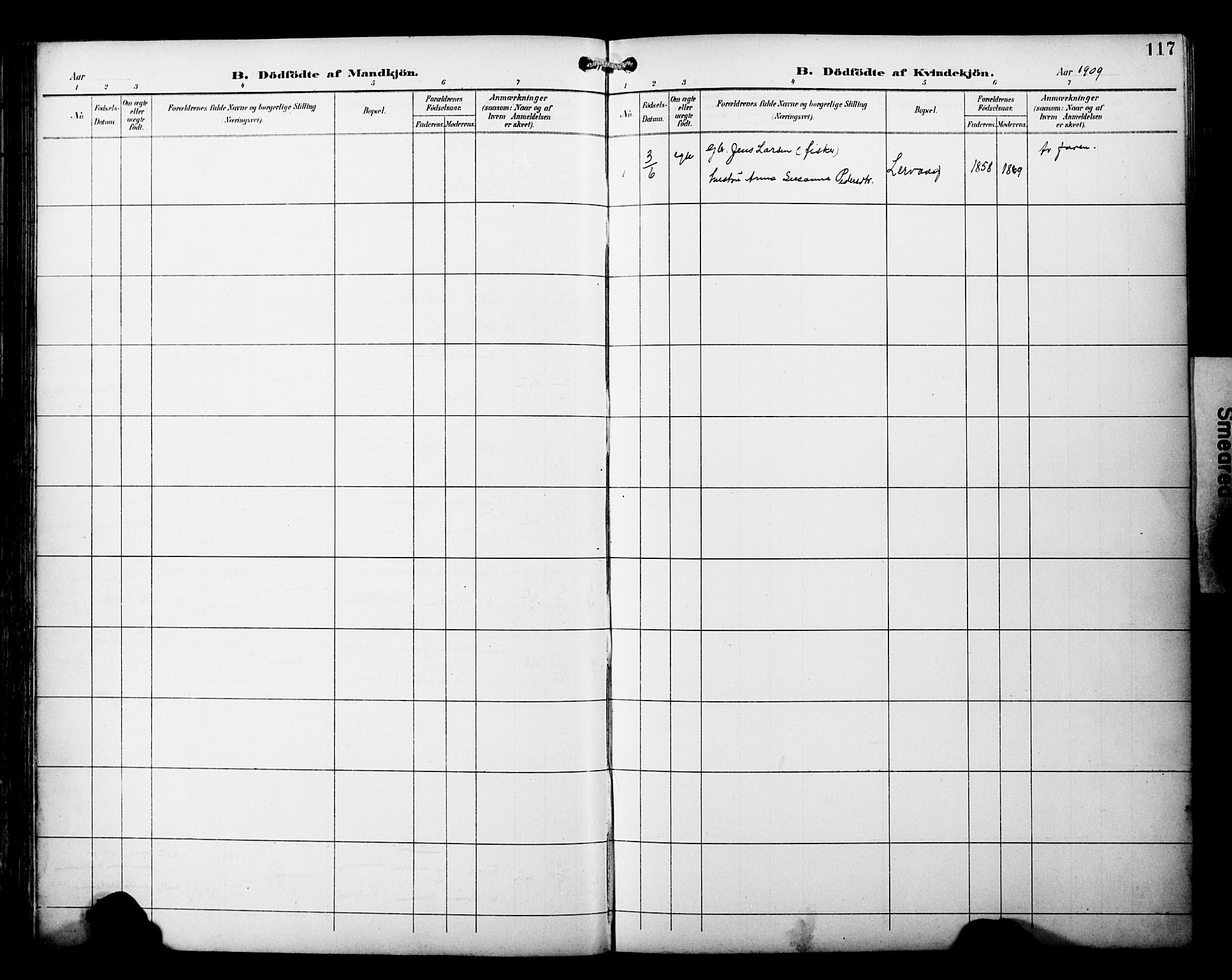 Skjervøy sokneprestkontor, SATØ/S-1300/H/Ha/Haa/L0015kirke: Parish register (official) no. 15, 1899-1909, p. 117