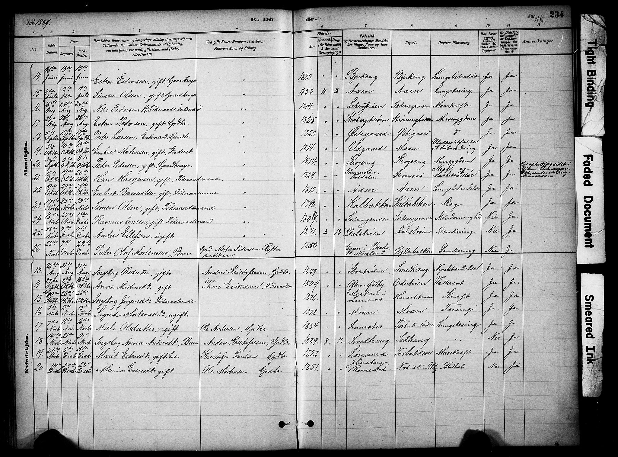 Tynset prestekontor, SAH/PREST-058/H/Ha/Hab/L0006: Parish register (copy) no. 6, 1880-1899, p. 234