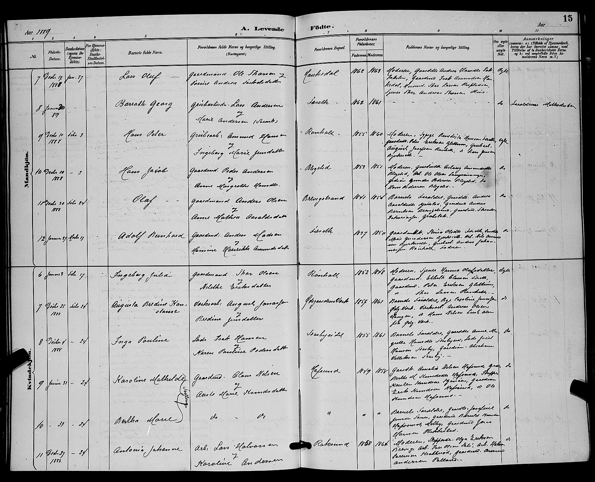 Bamble kirkebøker, SAKO/A-253/G/Ga/L0009: Parish register (copy) no. I 9, 1888-1900, p. 15