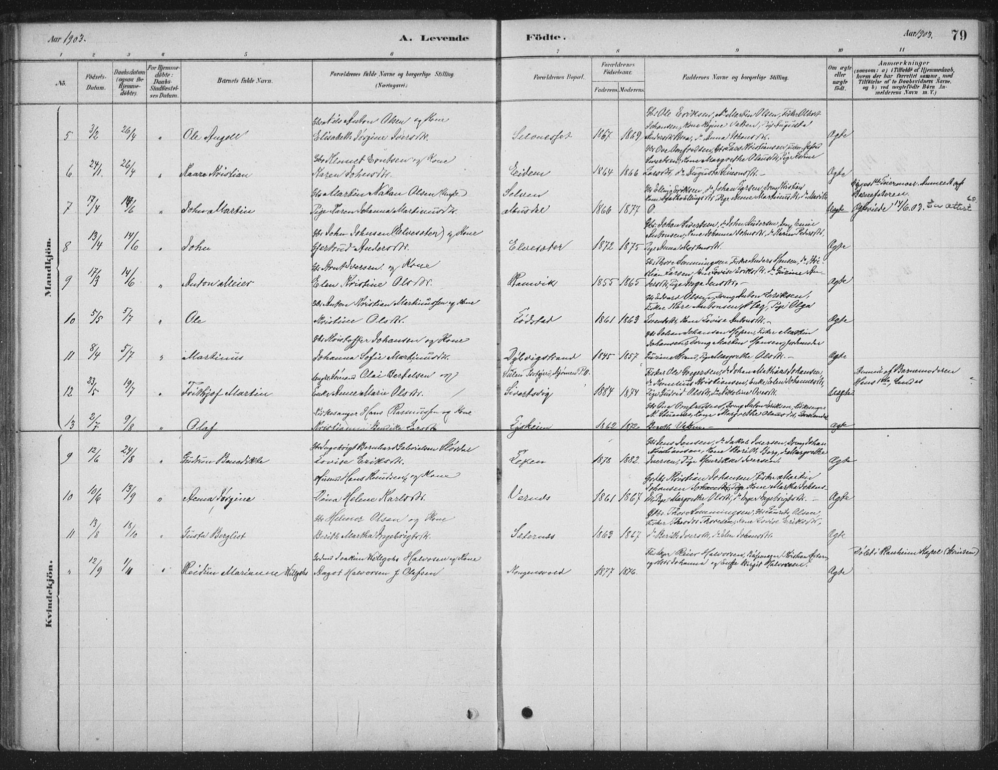 Ministerialprotokoller, klokkerbøker og fødselsregistre - Sør-Trøndelag, SAT/A-1456/662/L0755: Parish register (official) no. 662A01, 1879-1905, p. 79