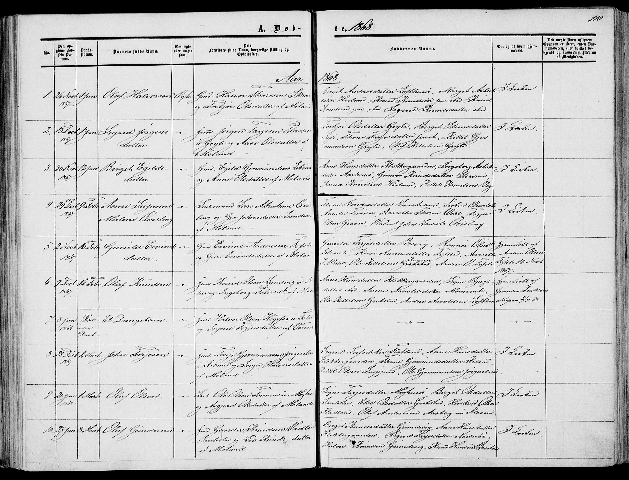 Fyresdal kirkebøker, SAKO/A-263/F/Fa/L0005: Parish register (official) no. I 5, 1855-1871, p. 110
