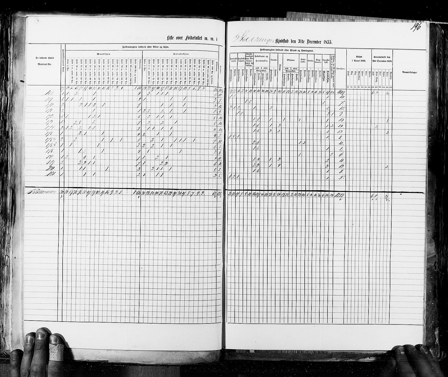 RA, Census 1855, vol. 8: Risør-Vadsø, 1855, p. 196