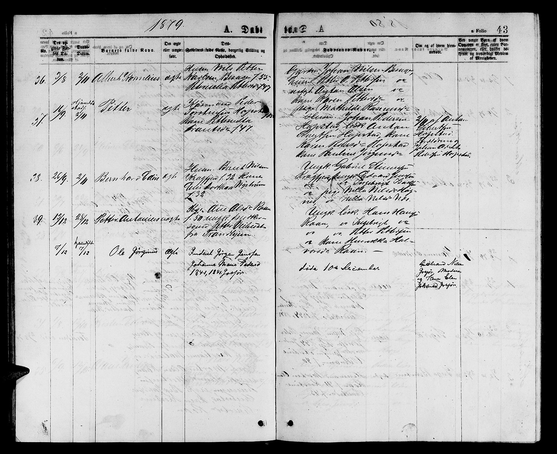 Ministerialprotokoller, klokkerbøker og fødselsregistre - Sør-Trøndelag, SAT/A-1456/657/L0715: Parish register (copy) no. 657C02, 1873-1888, p. 43