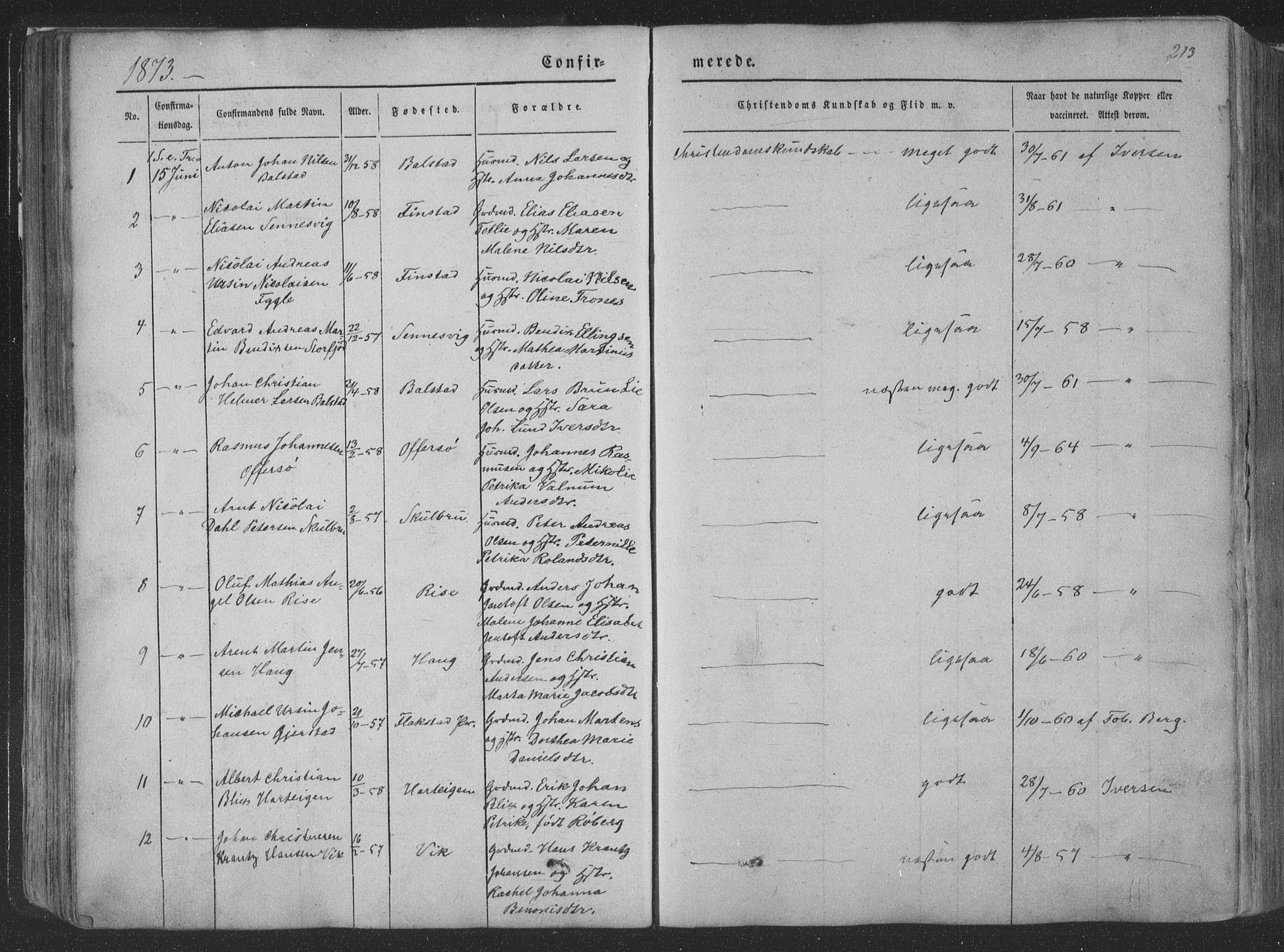 Ministerialprotokoller, klokkerbøker og fødselsregistre - Nordland, AV/SAT-A-1459/881/L1165: Parish register (copy) no. 881C02, 1854-1876, p. 213