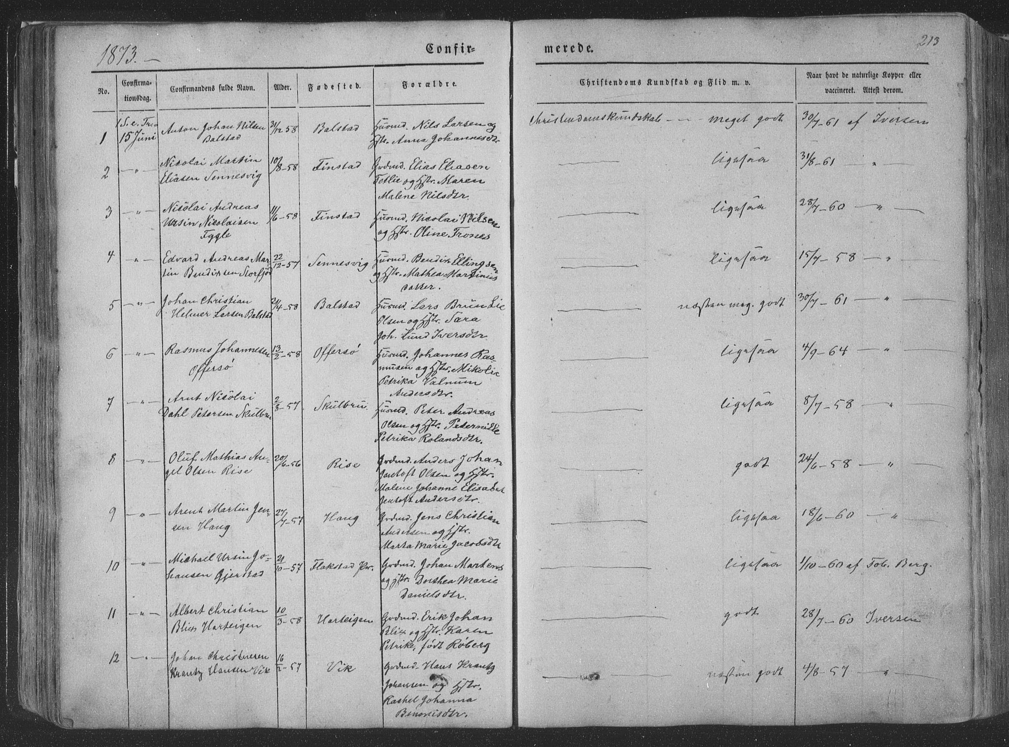 Ministerialprotokoller, klokkerbøker og fødselsregistre - Nordland, AV/SAT-A-1459/881/L1165: Parish register (copy) no. 881C02, 1854-1876, p. 213