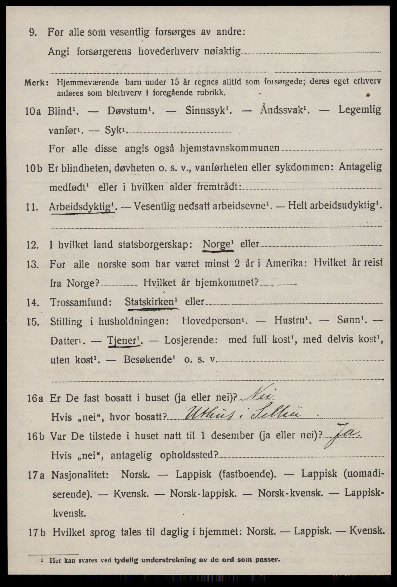 SAT, 1920 census for Selbu, 1920, p. 2055