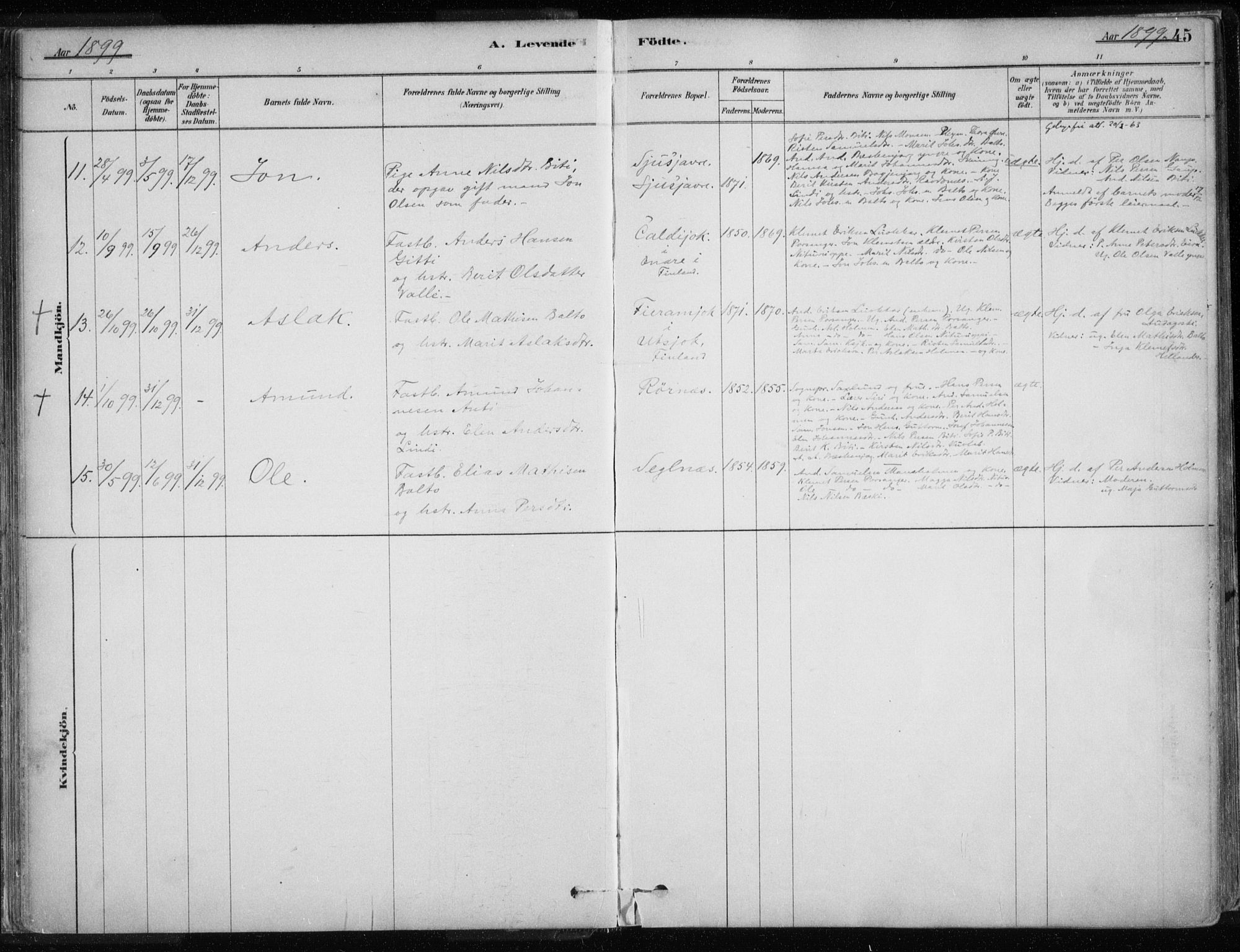 Karasjok sokneprestkontor, AV/SATØ-S-1352/H/Ha/L0002kirke: Parish register (official) no. 2, 1885-1906, p. 45