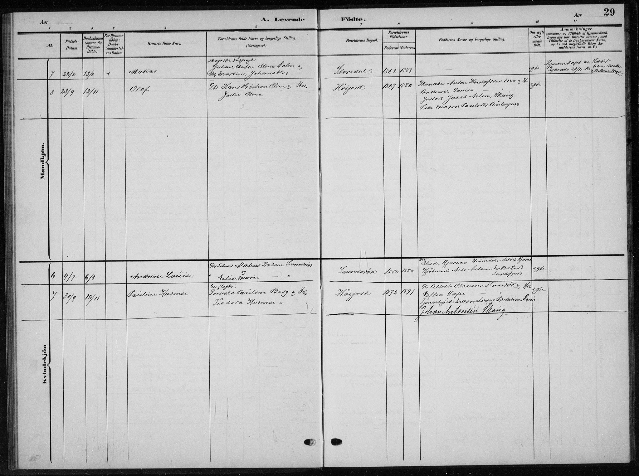 Andebu kirkebøker, AV/SAKO-A-336/G/Gb/L0001: Parish register (copy) no. II 1, 1901-1936, p. 29