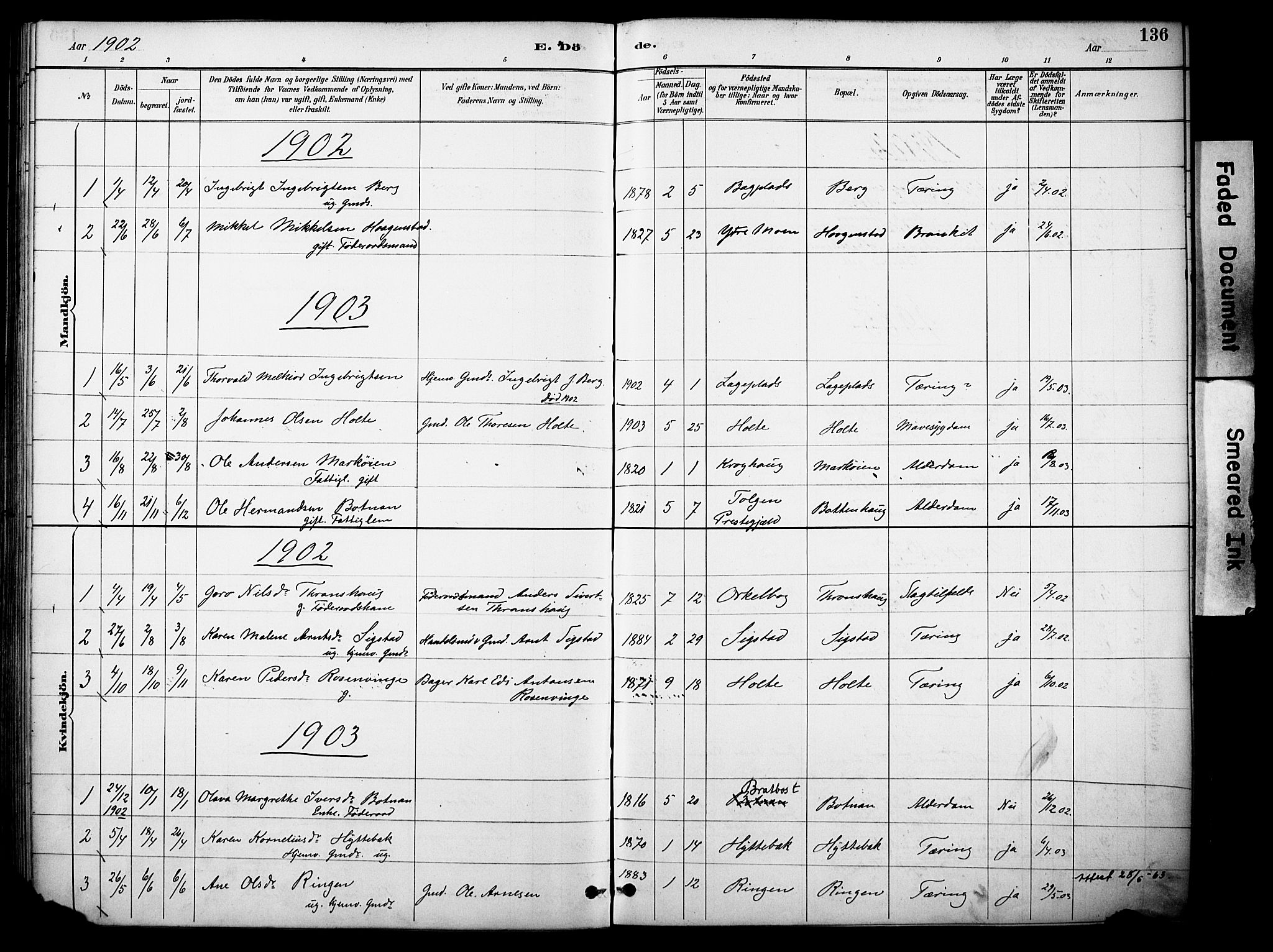Kvikne prestekontor, SAH/PREST-064/H/Ha/Haa/L0007: Parish register (official) no. 7, 1887-1911, p. 136