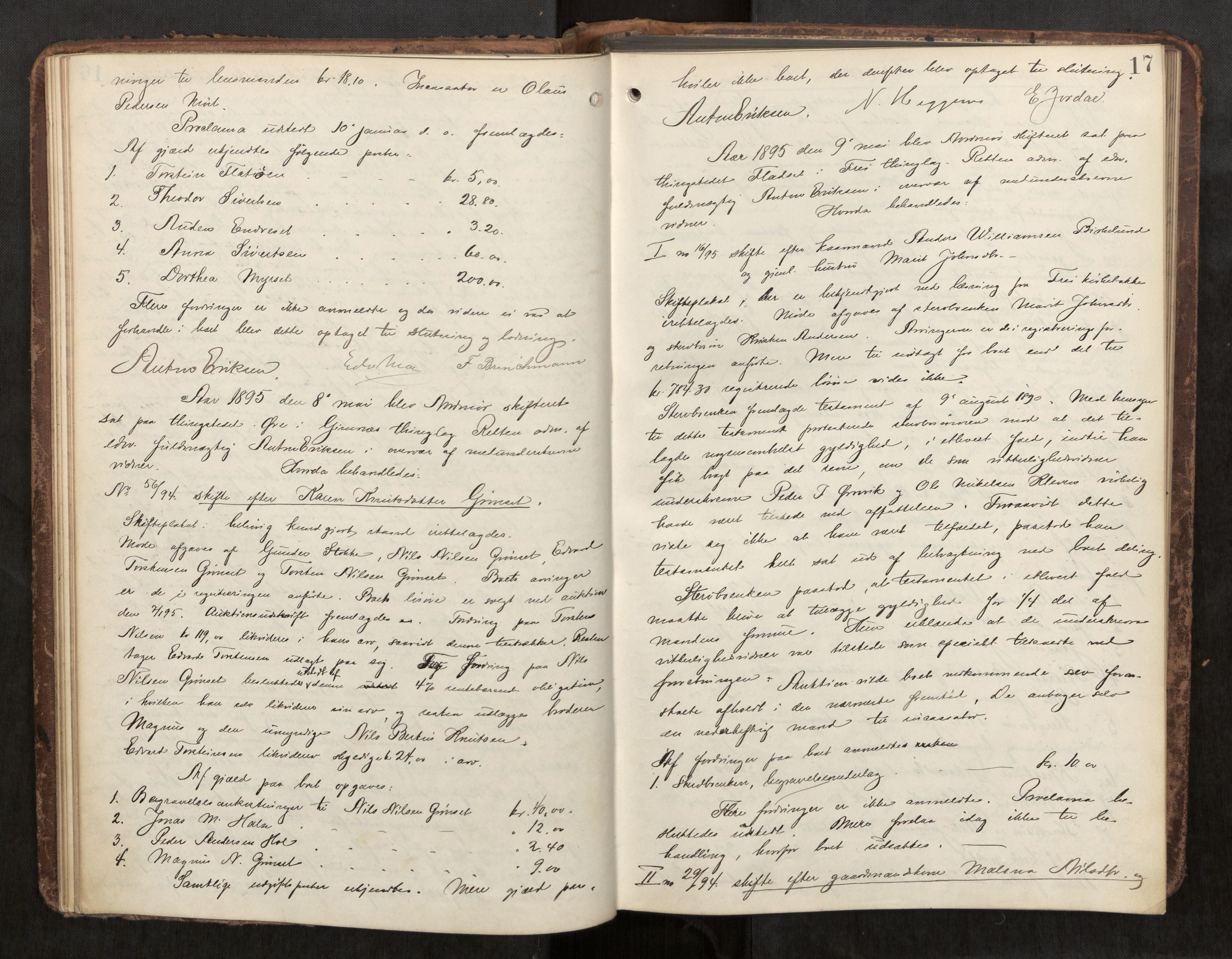 Nordmøre sorenskriveri, AV/SAT-A-4132/1/3/3B/L0006: Forhandlingsprotokoll nr. 06, 1894-1900, p. 17