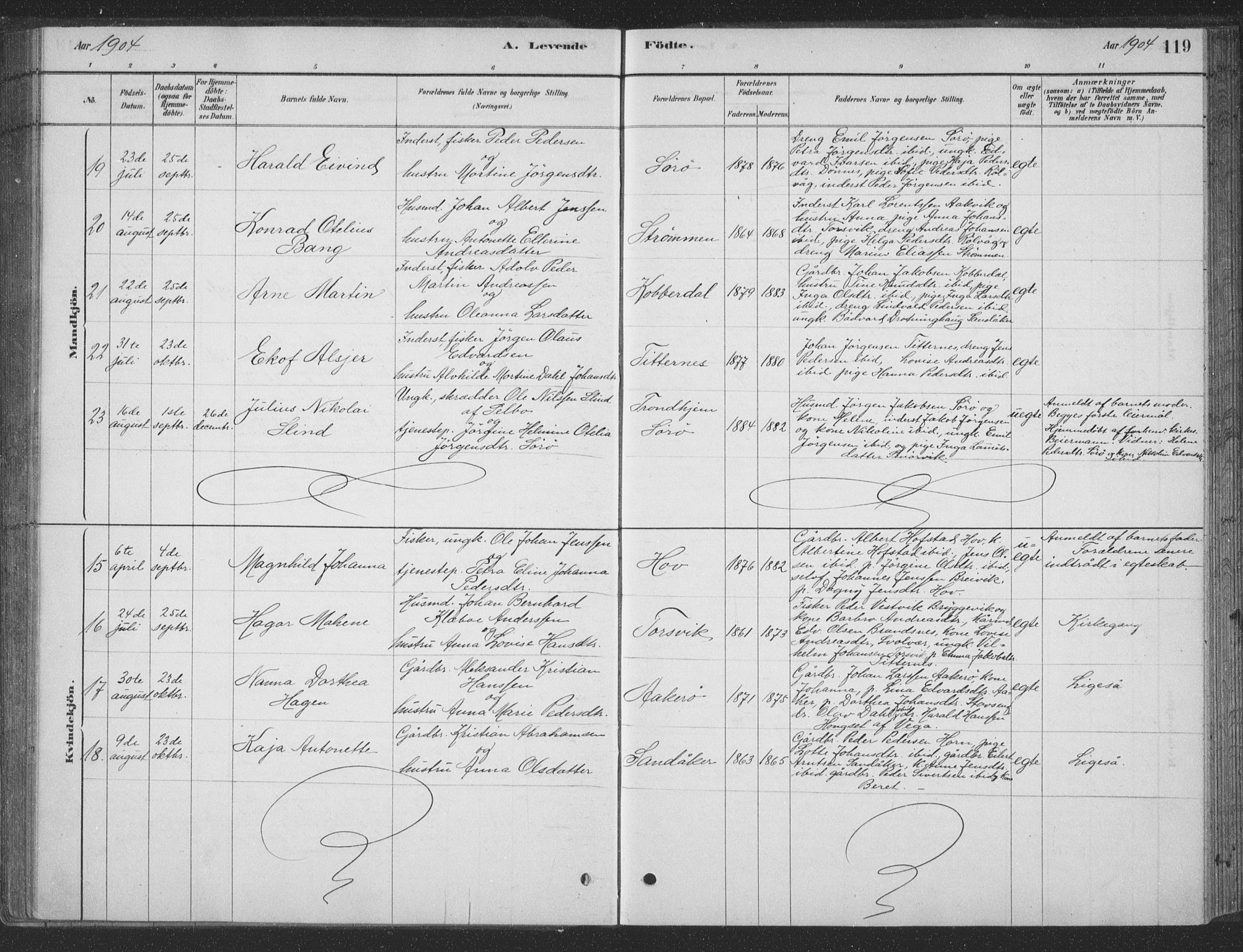 Ministerialprotokoller, klokkerbøker og fødselsregistre - Nordland, SAT/A-1459/835/L0532: Parish register (copy) no. 835C04, 1880-1905, p. 119
