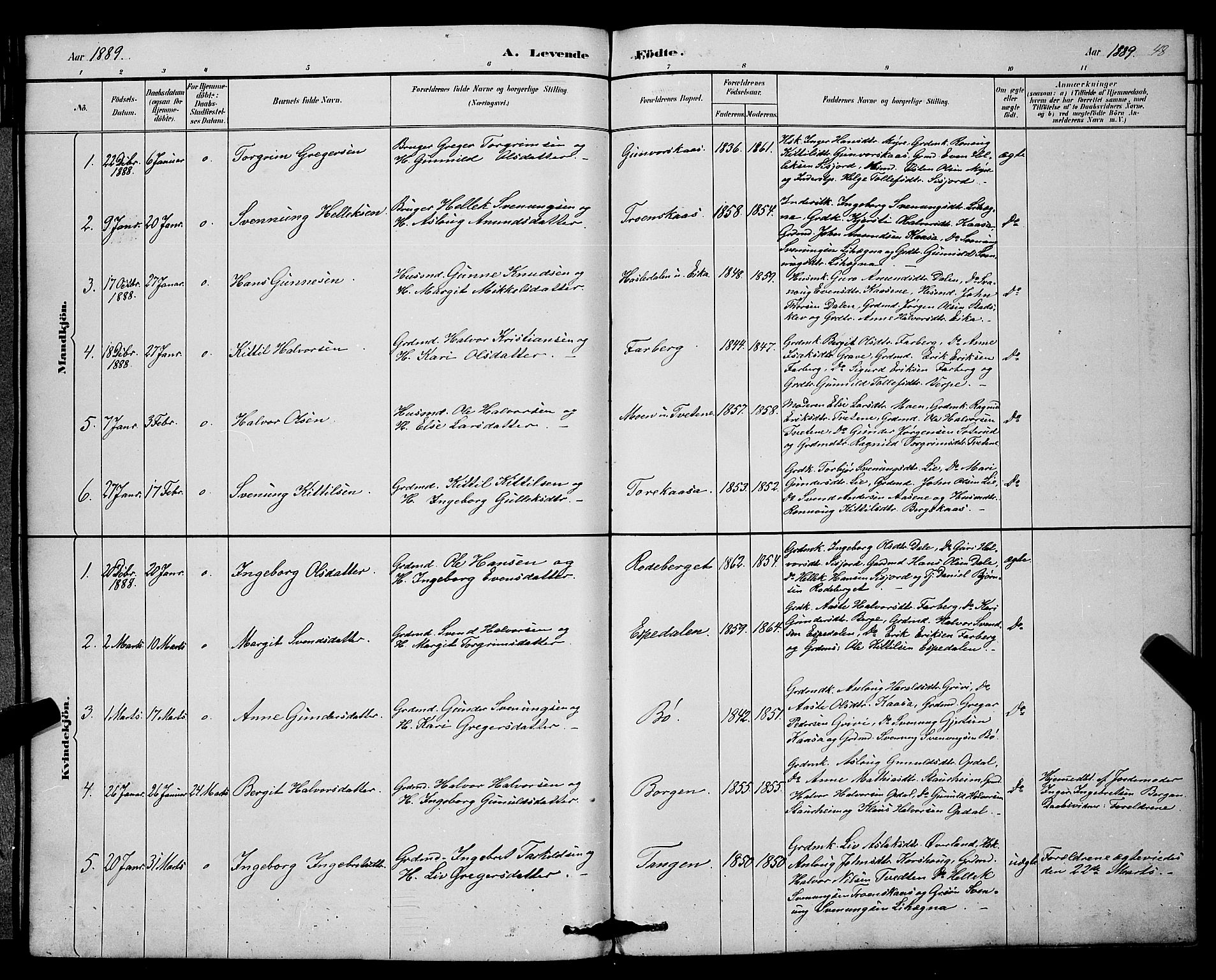 Bø kirkebøker, SAKO/A-257/G/Ga/L0005: Parish register (copy) no. 5, 1883-1897, p. 48