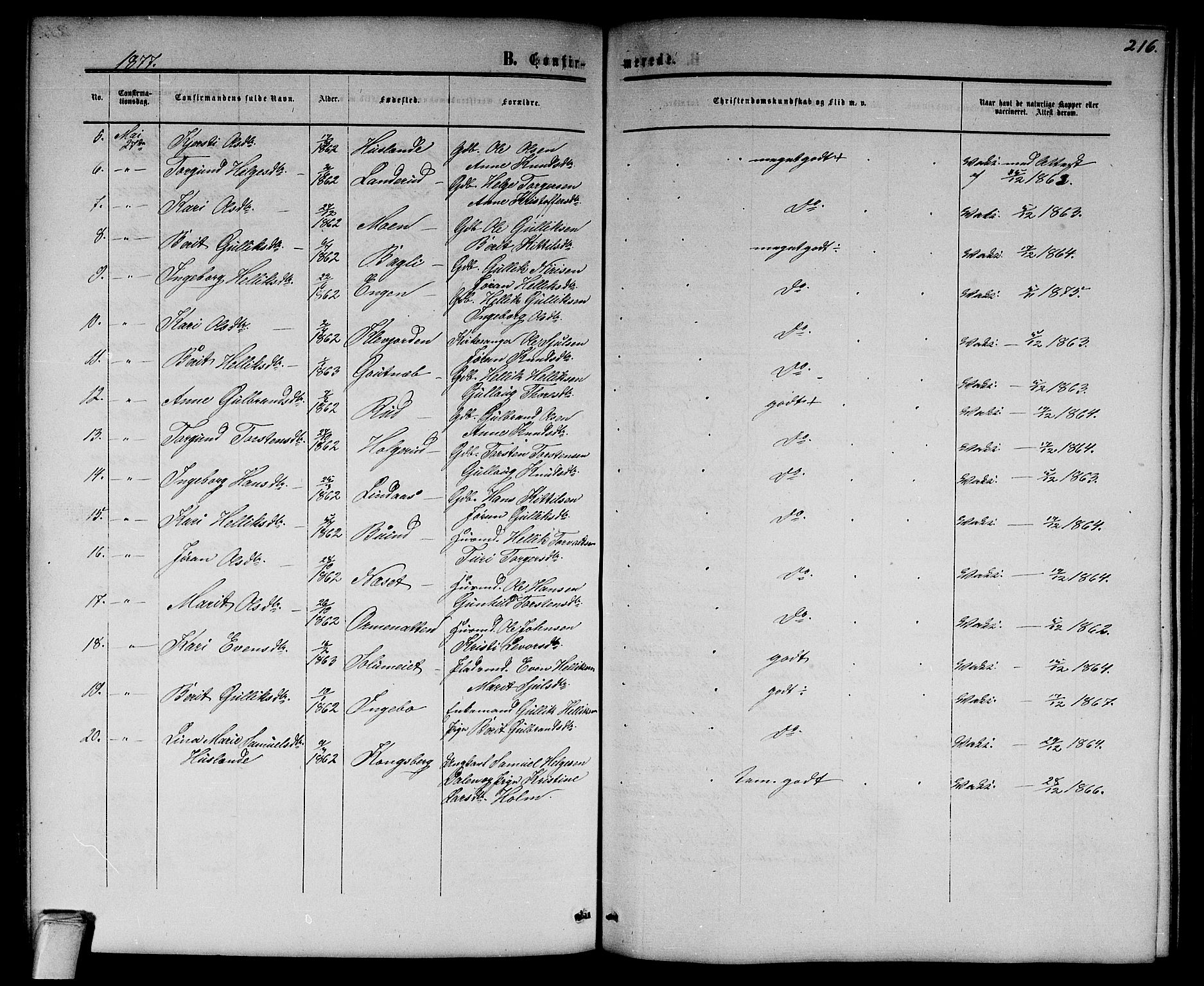 Flesberg kirkebøker, AV/SAKO-A-18/G/Ga/L0003: Parish register (copy) no. I 3, 1861-1889, p. 216