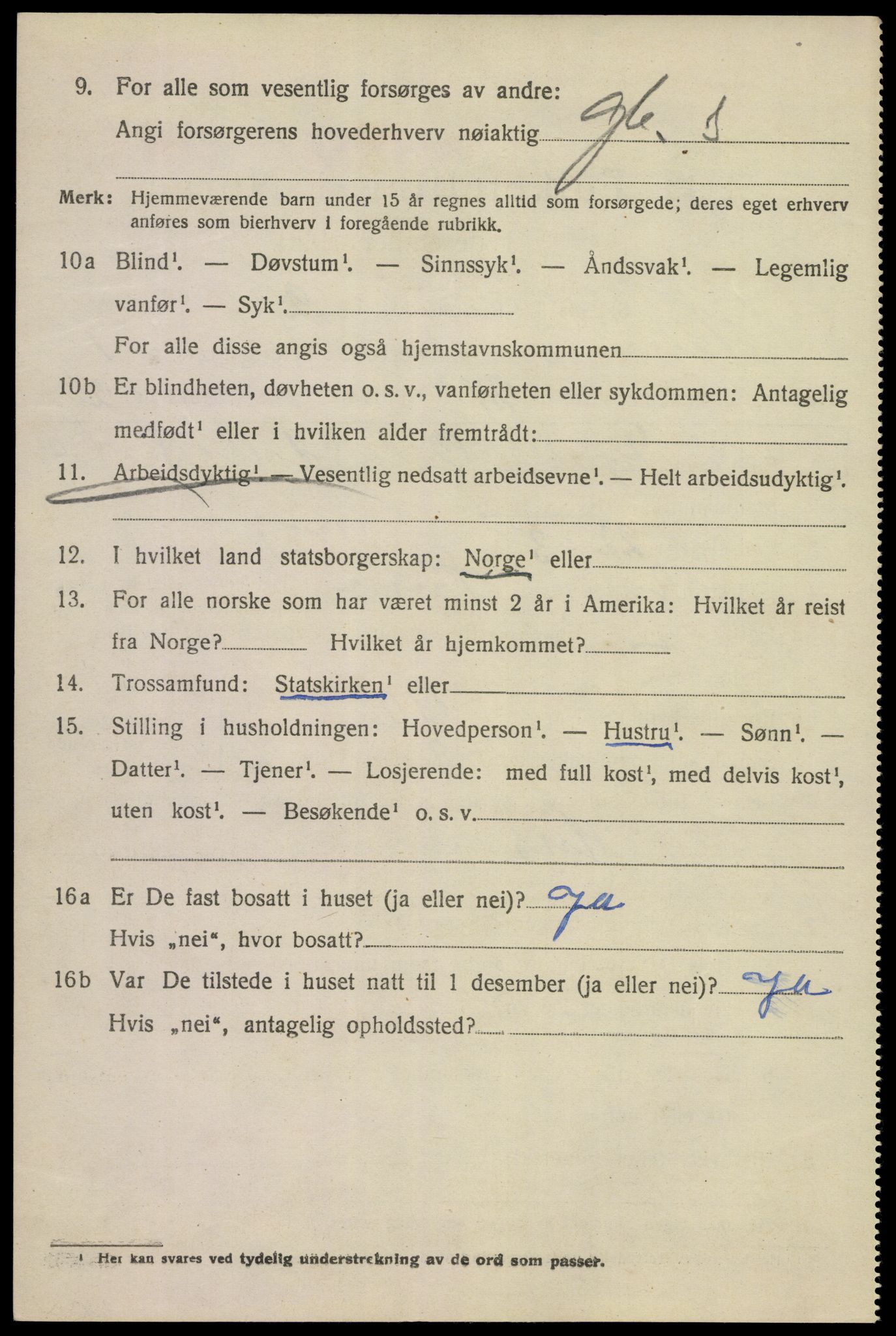 SAKO, 1920 census for Tinn, 1920, p. 3025