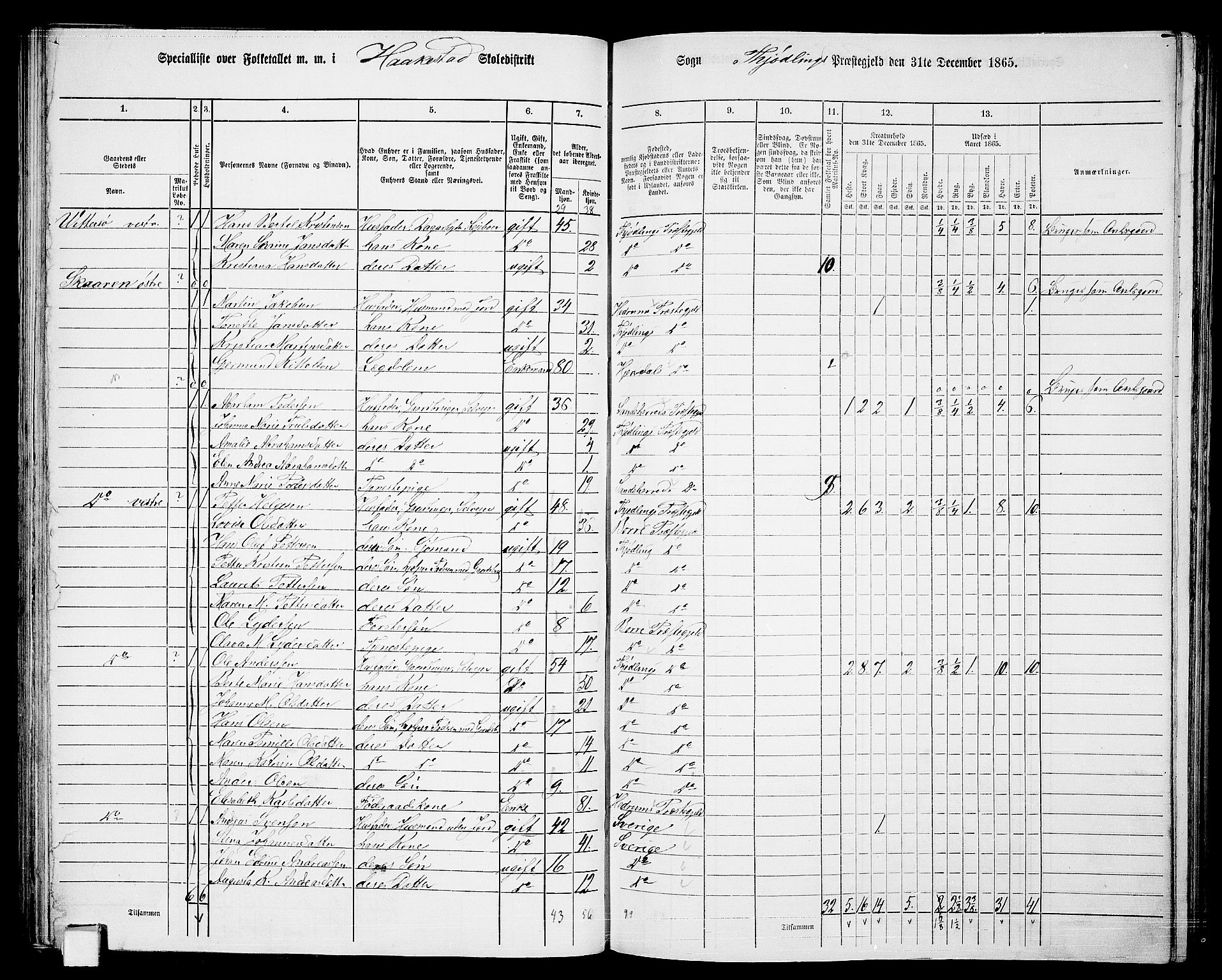 RA, 1865 census for Tjølling, 1865, p. 80