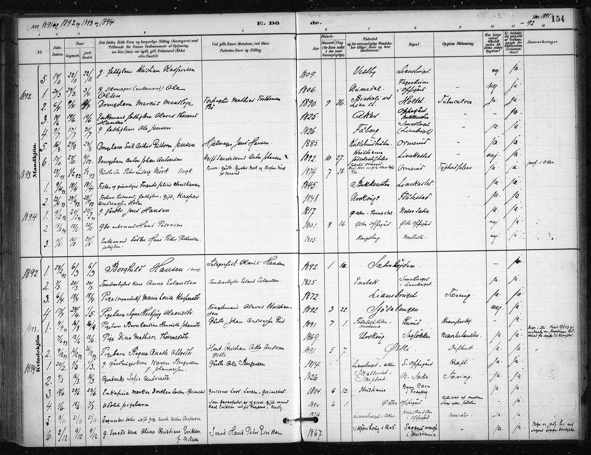 Nesodden prestekontor Kirkebøker, AV/SAO-A-10013/F/Fb/L0001: Parish register (official) no. II 1, 1880-1915, p. 154