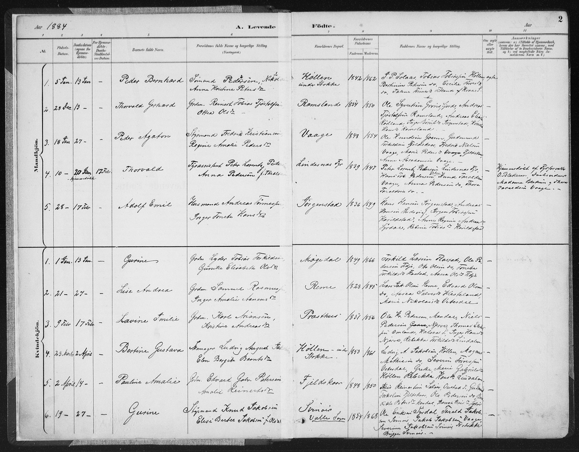 Sør-Audnedal sokneprestkontor, SAK/1111-0039/F/Fa/Faa/L0004: Parish register (official) no. A 4, 1884-1909, p. 2