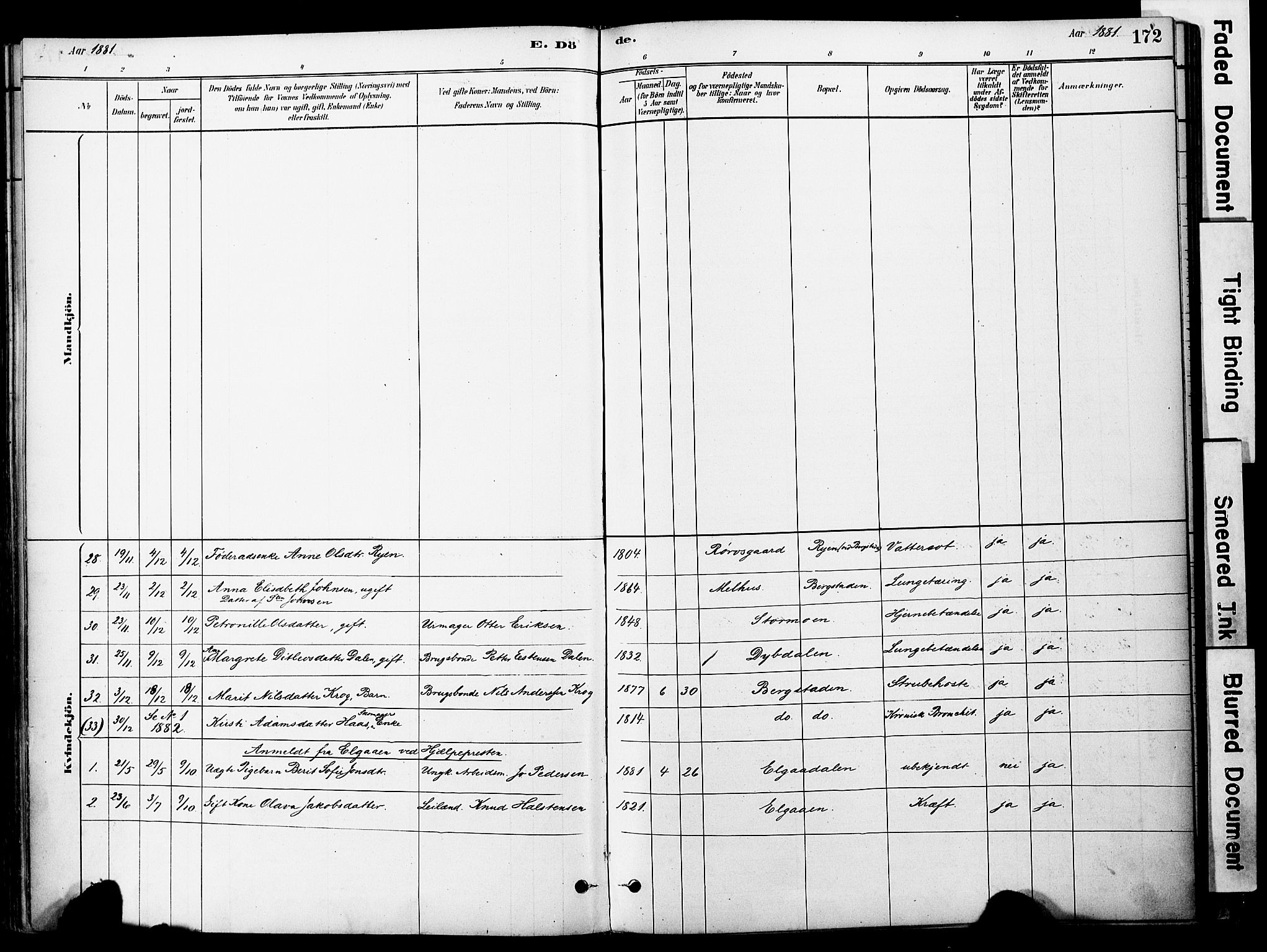 Ministerialprotokoller, klokkerbøker og fødselsregistre - Sør-Trøndelag, SAT/A-1456/681/L0933: Parish register (official) no. 681A11, 1879-1890, p. 172