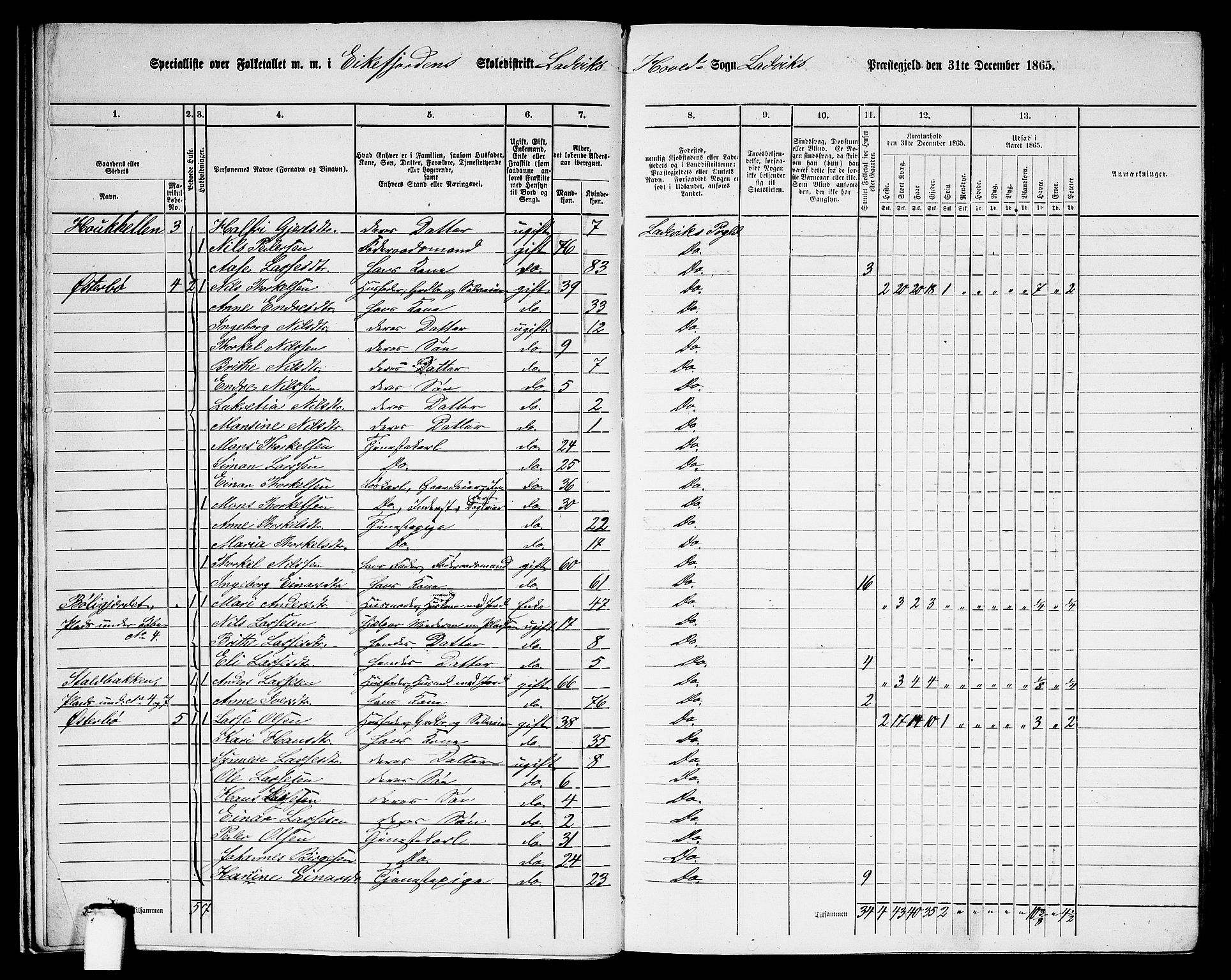 RA, 1865 census for Lavik, 1865, p. 15