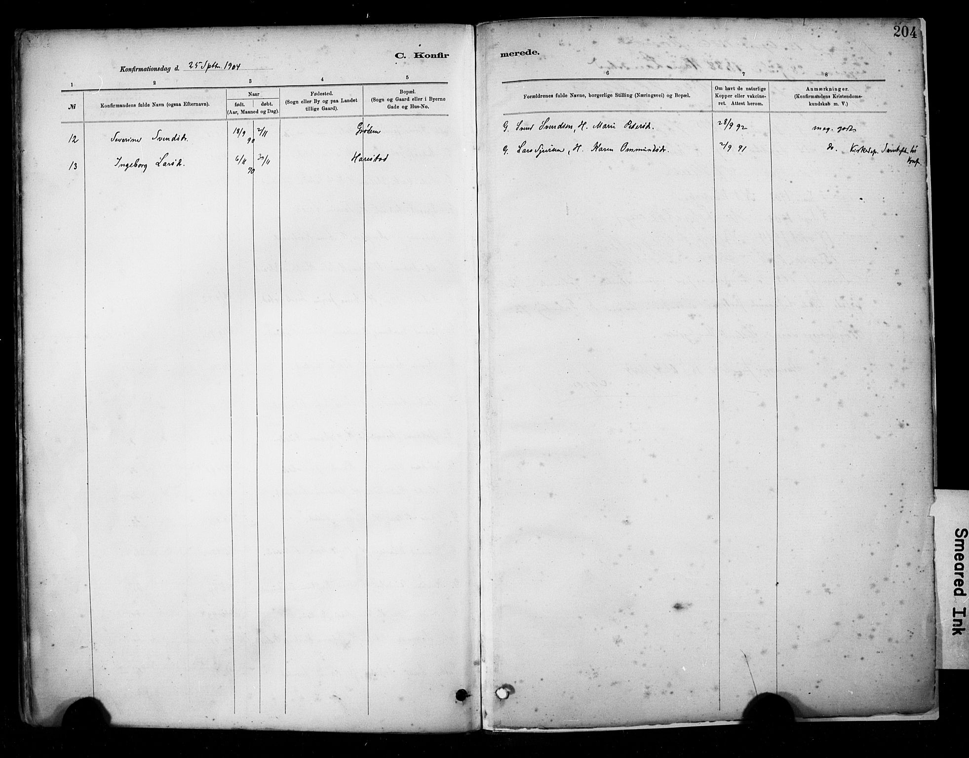 Hetland sokneprestkontor, SAST/A-101826/30/30BA/L0009: Parish register (official) no. A 9, 1882-1918, p. 204