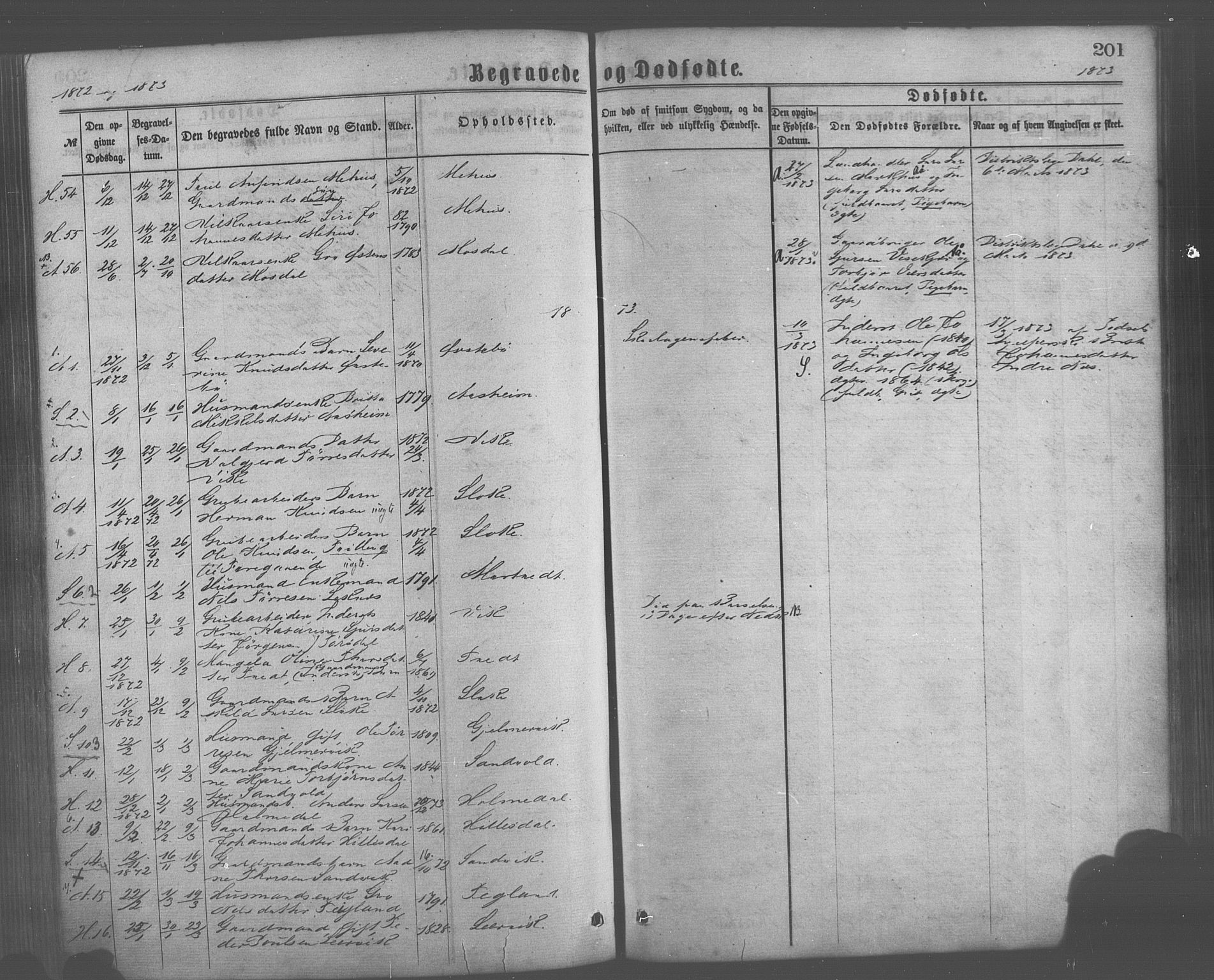 Skånevik sokneprestembete, AV/SAB-A-77801/H/Haa: Parish register (official) no. A 6, 1869-1878, p. 201