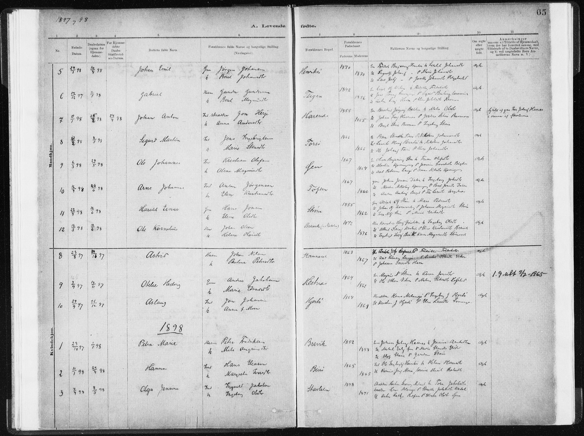 Ministerialprotokoller, klokkerbøker og fødselsregistre - Sør-Trøndelag, SAT/A-1456/634/L0533: Parish register (official) no. 634A09, 1882-1901, p. 65