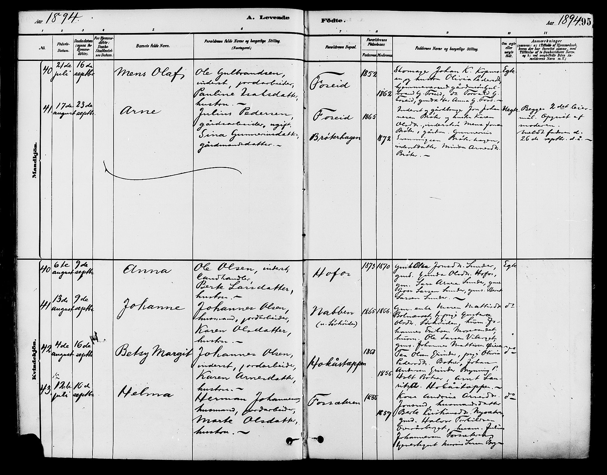 Brandval prestekontor, AV/SAH-PREST-034/H/Ha/Haa/L0002: Parish register (official) no. 2, 1880-1894, p. 95