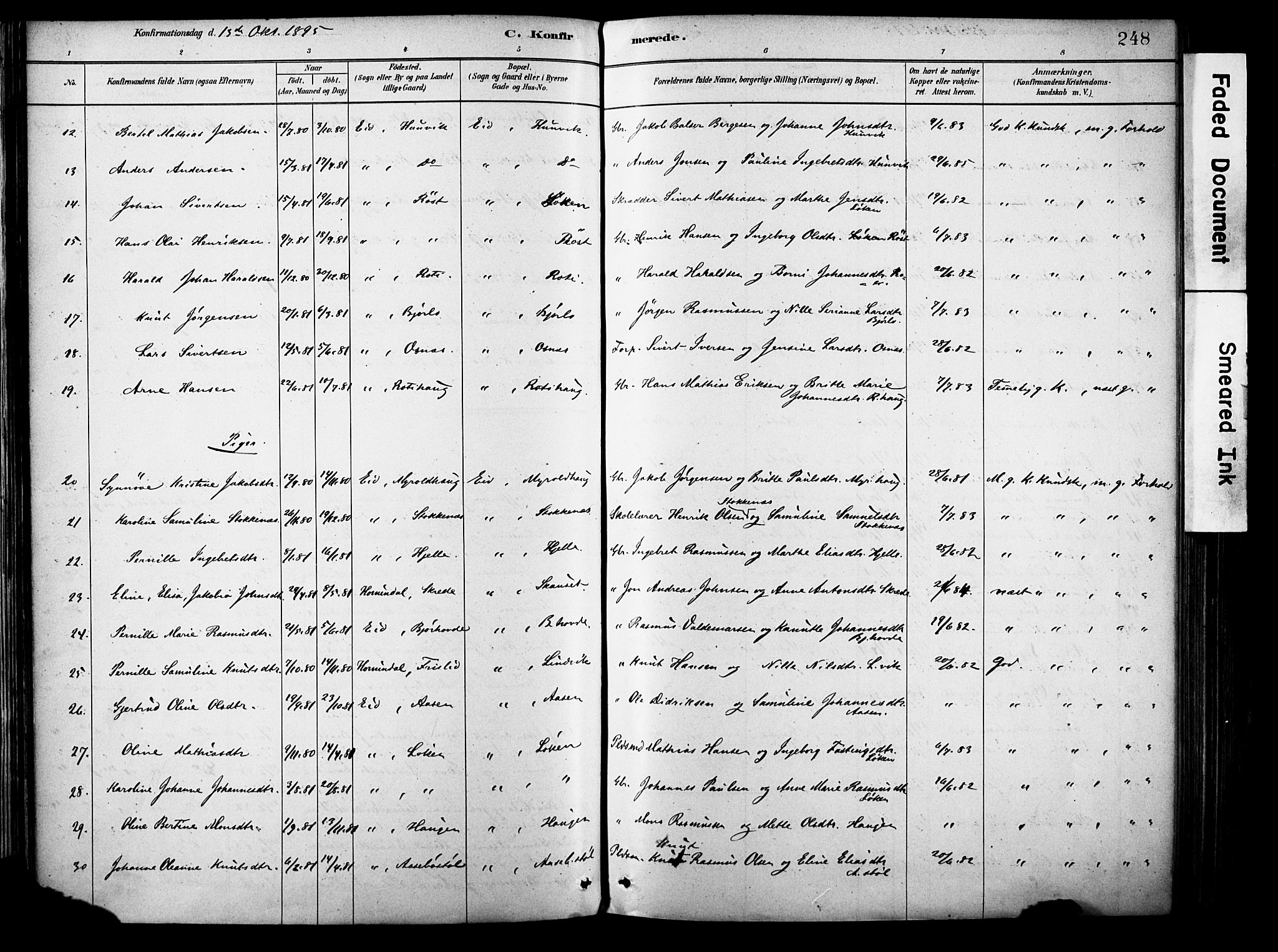 Eid sokneprestembete, AV/SAB-A-82301/H/Haa/Haab/L0001: Parish register (official) no. B 1, 1879-1906, p. 248