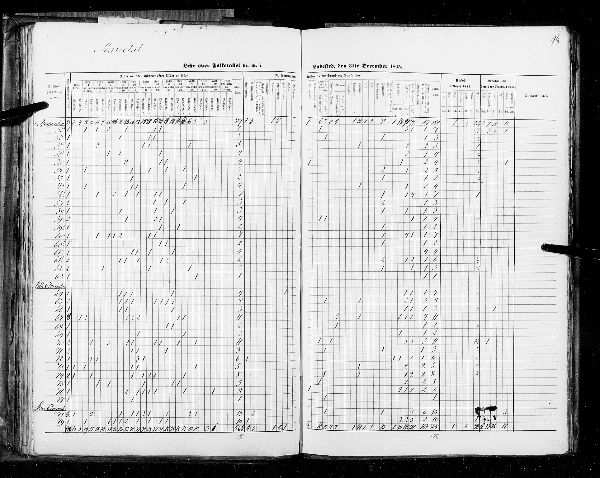 RA, Census 1845, vol. 11: Cities, 1845, p. 93