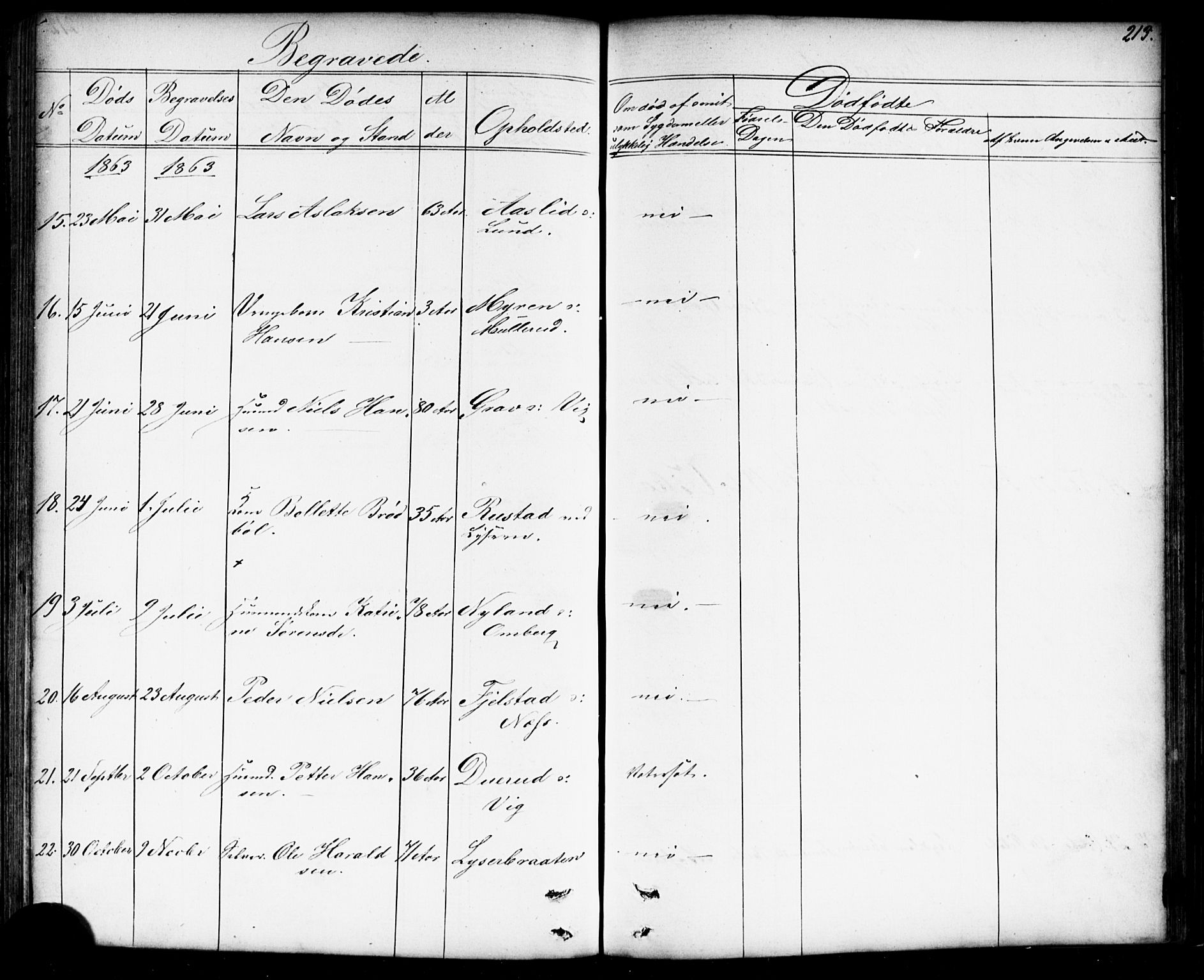 Enebakk prestekontor Kirkebøker, SAO/A-10171c/G/Gb/L0001: Parish register (copy) no. II 1, 1859-1890, p. 213