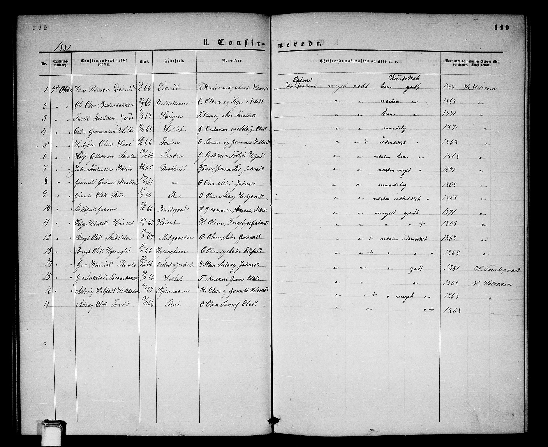 Gransherad kirkebøker, SAKO/A-267/G/Gb/L0002: Parish register (copy) no. II 2, 1860-1886, p. 110