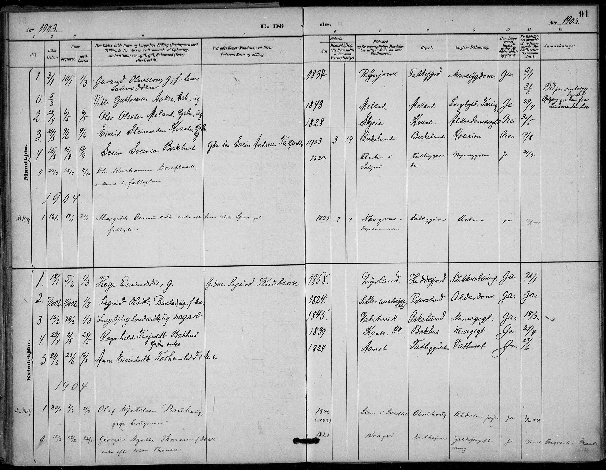Seljord kirkebøker, SAKO/A-20/F/Fb/L0002: Parish register (official) no. II 2, 1887-1917, p. 91