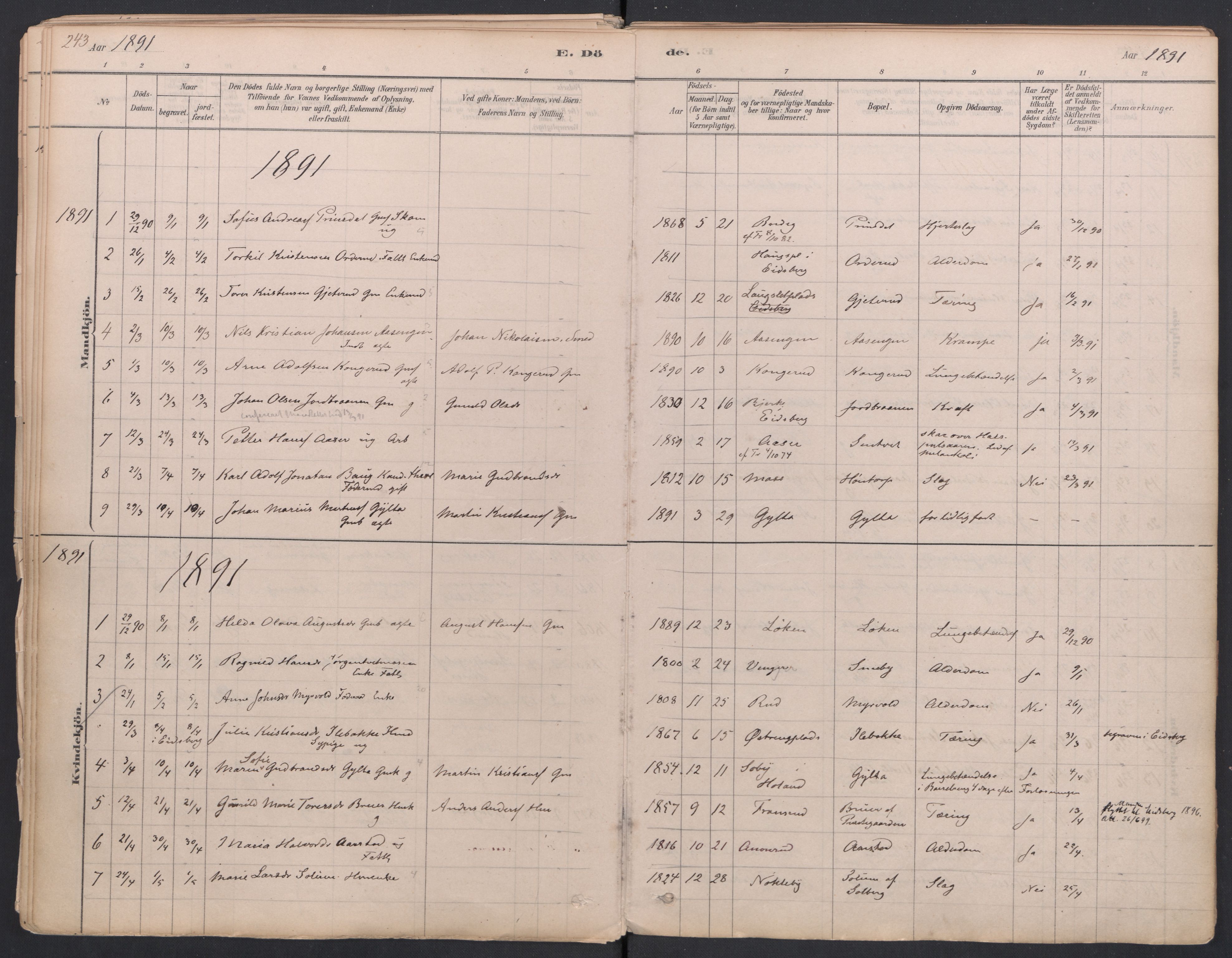 Trøgstad prestekontor Kirkebøker, SAO/A-10925/F/Fa/L0010: Parish register (official) no. I 10, 1878-1898, p. 243