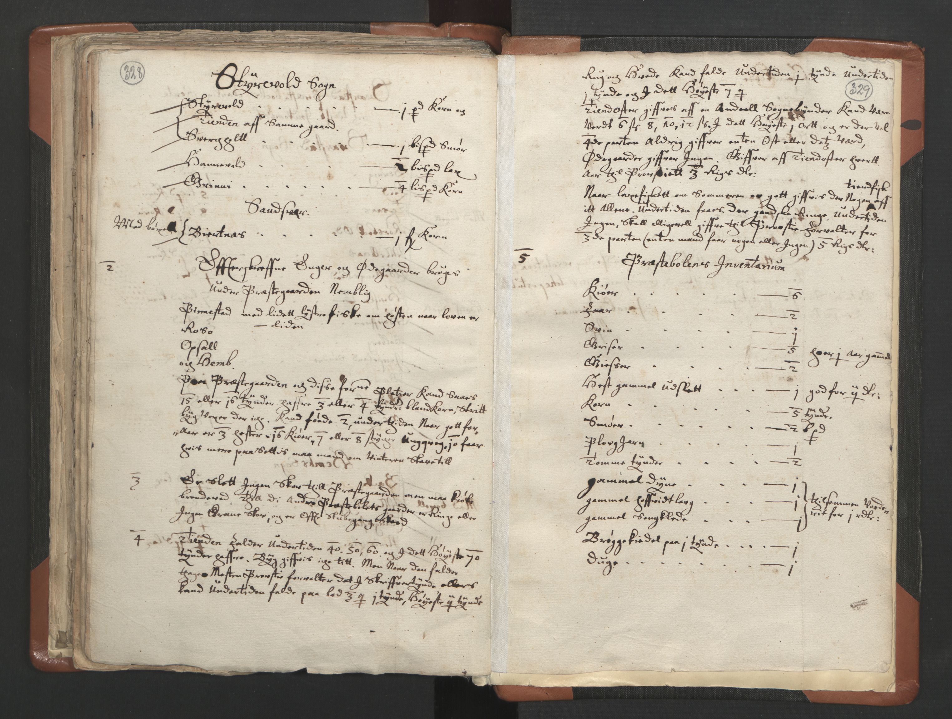 RA, Vicar's Census 1664-1666, no. 10: Tønsberg deanery, 1664-1666, p. 328-329