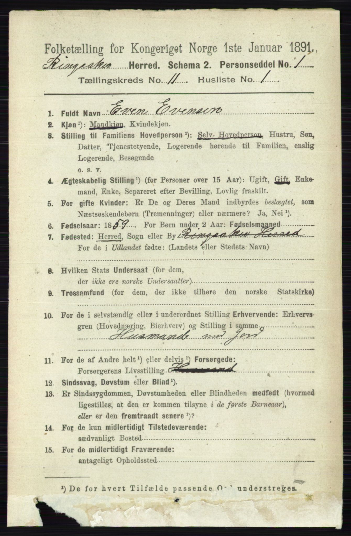 RA, 1891 census for 0412 Ringsaker, 1891, p. 6258