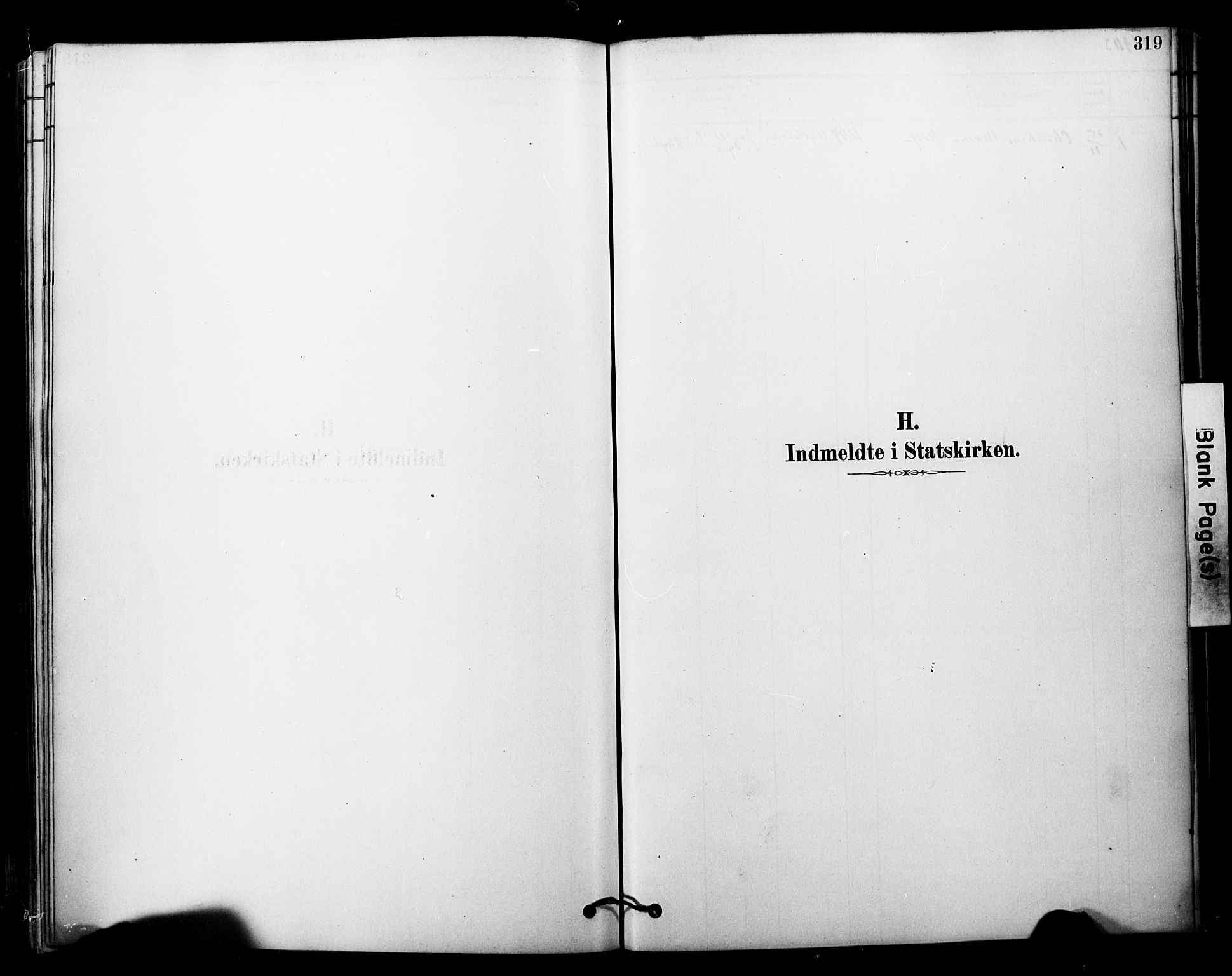 Tranøy sokneprestkontor, SATØ/S-1313/I/Ia/Iaa/L0011kirke: Parish register (official) no. 11, 1878-1904, p. 319
