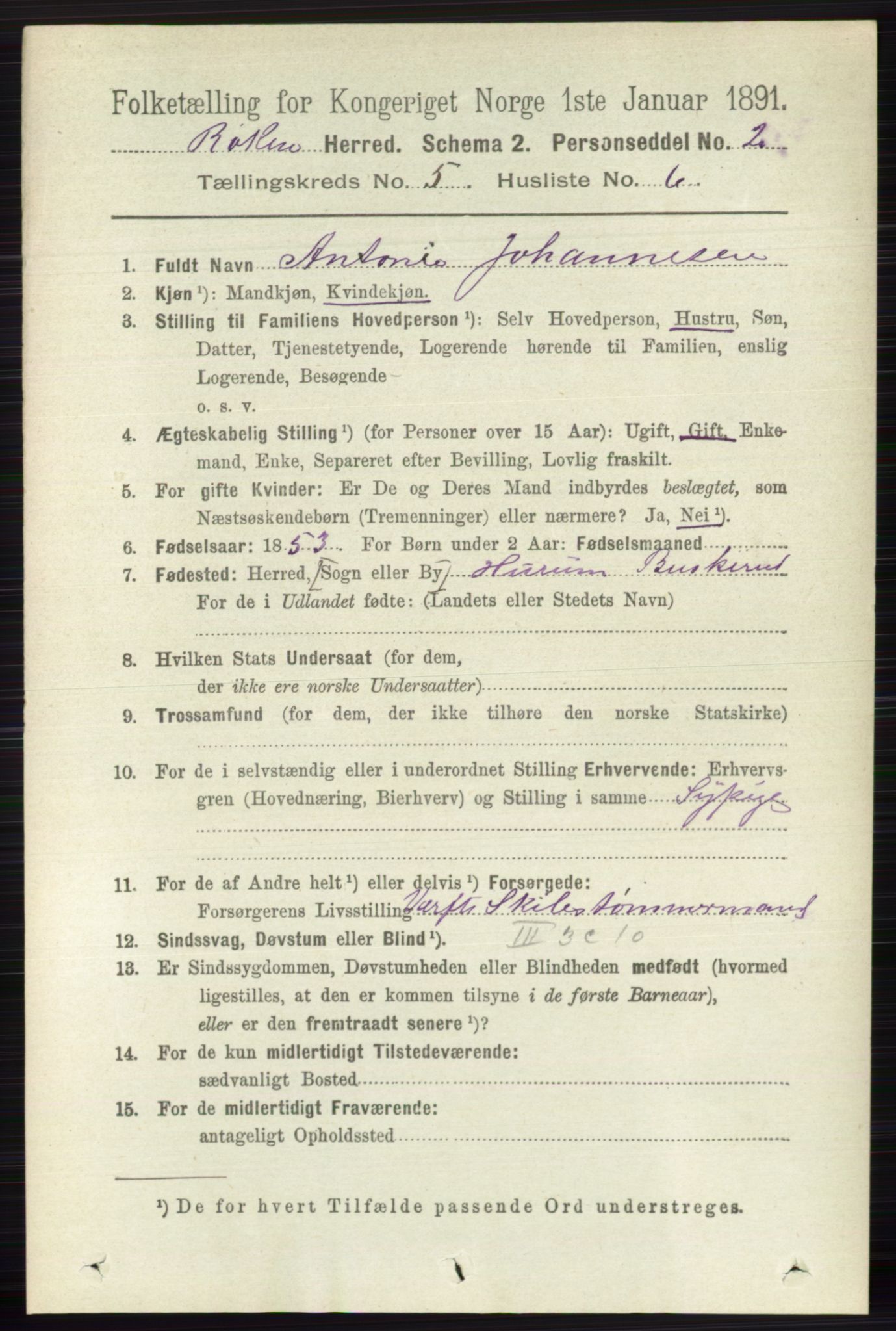 RA, 1891 census for 0627 Røyken, 1891, p. 2907